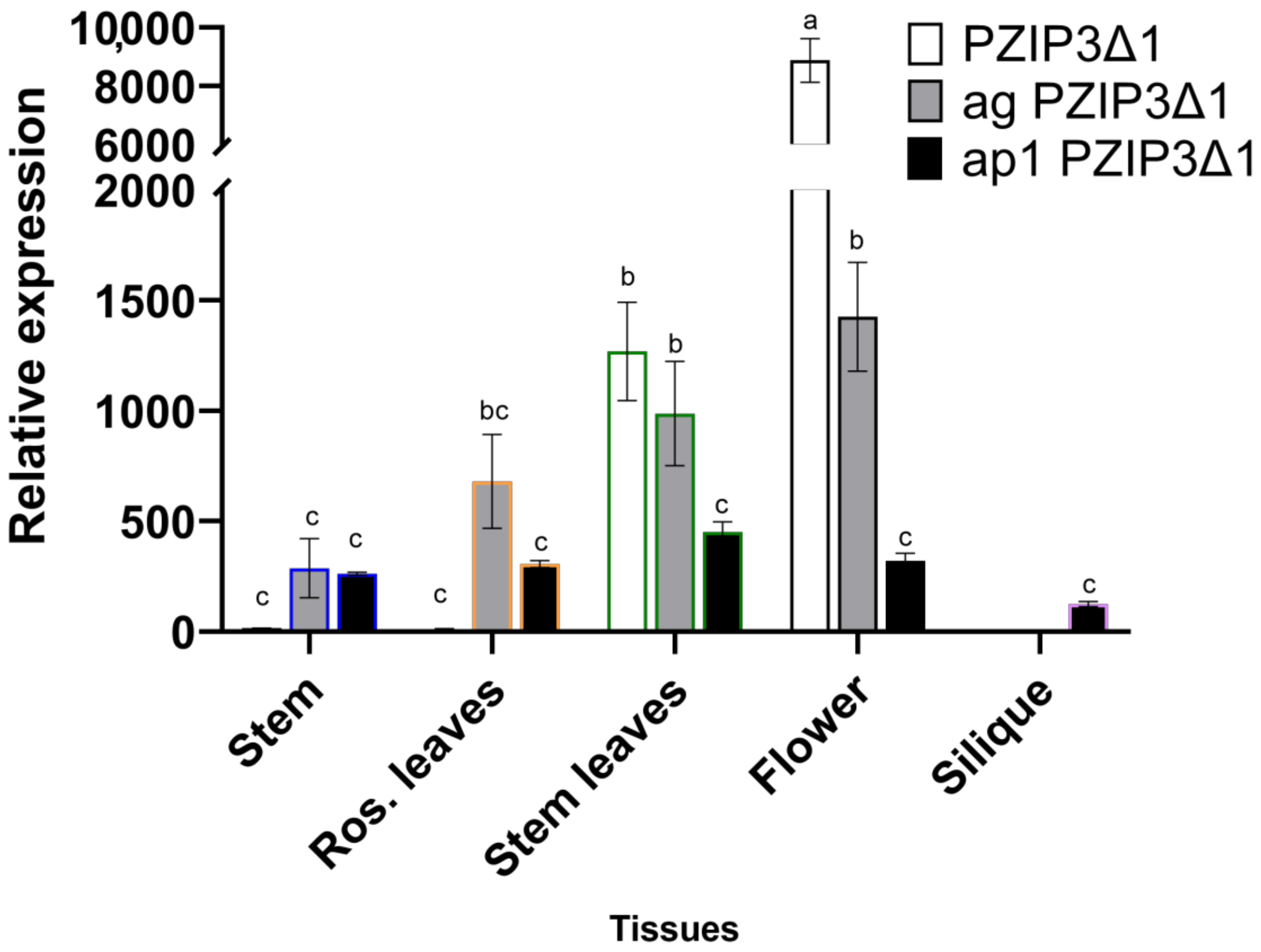 Plants 12 03322 g006