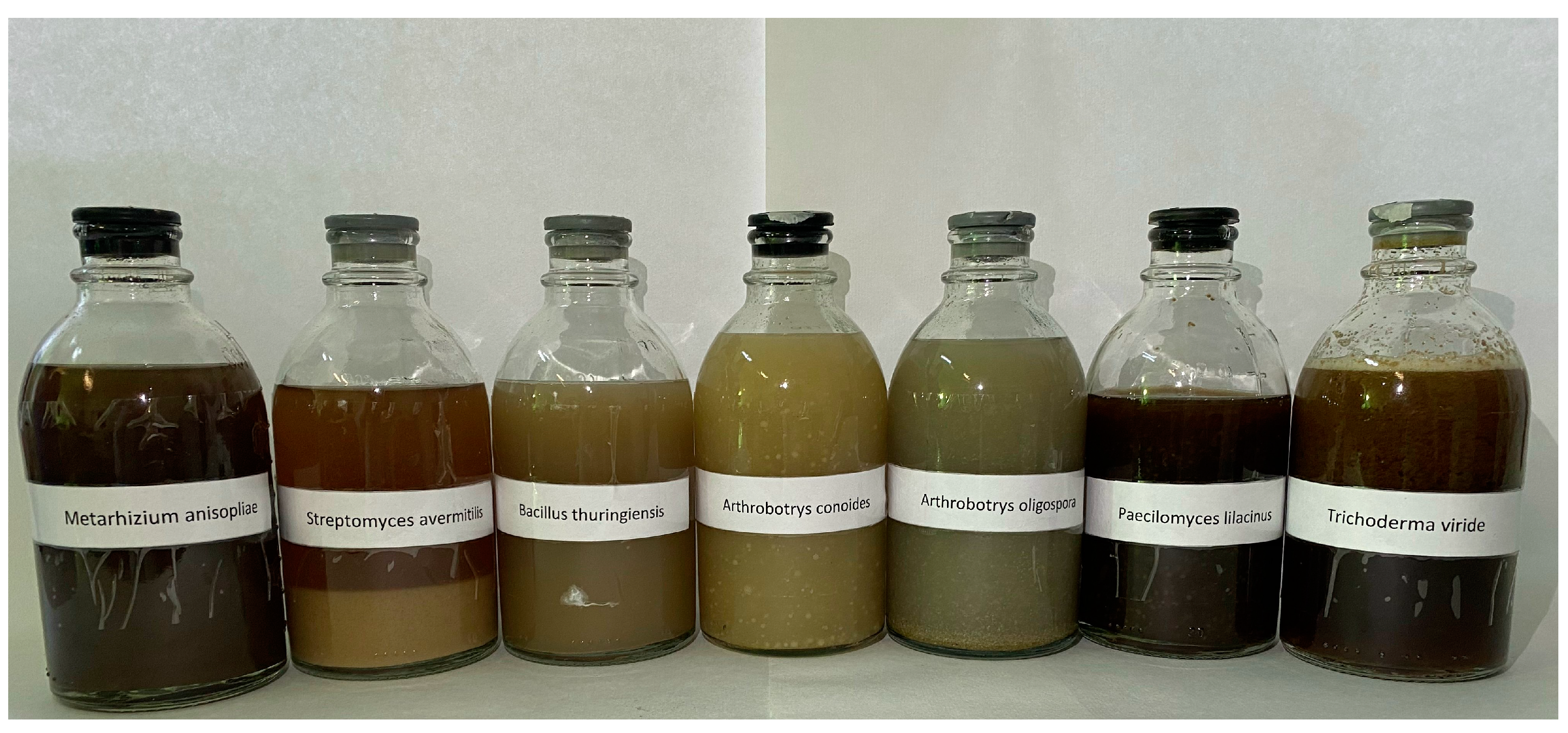 Plants 12 03323 g004