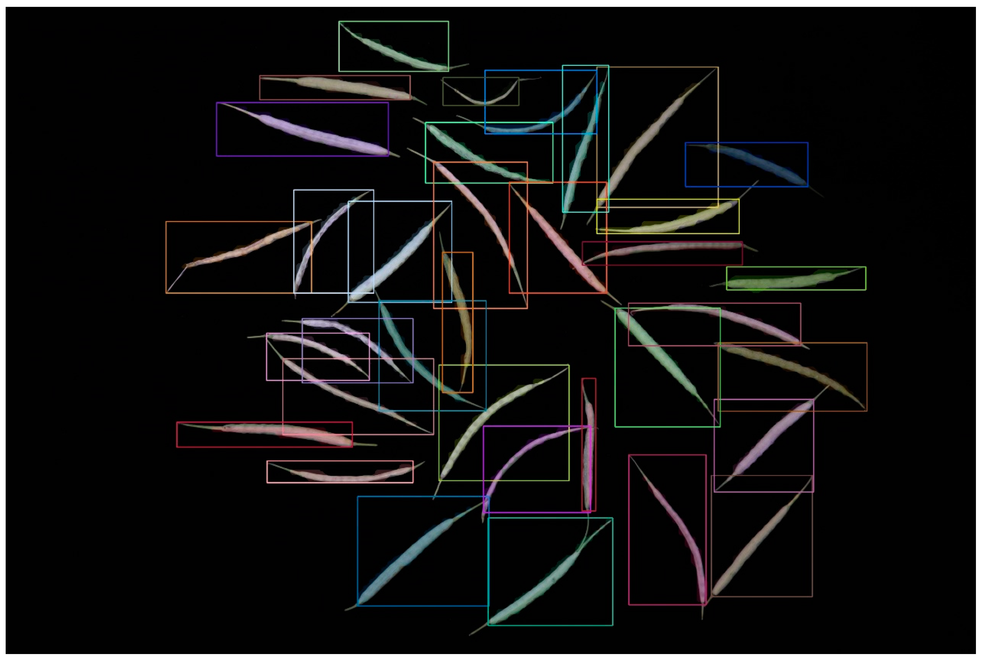 Plants 12 03328 g001