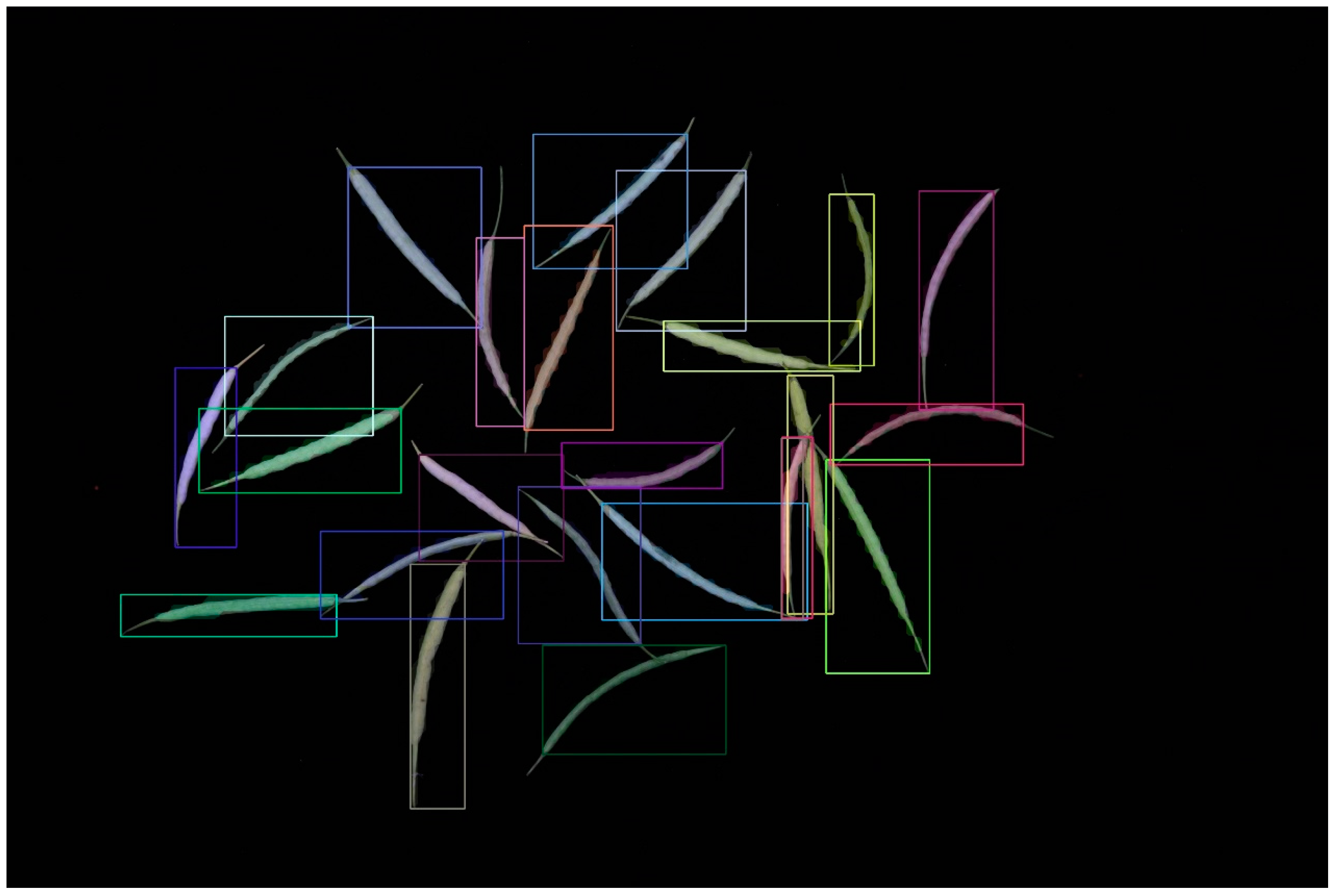 Plants 12 03328 g002