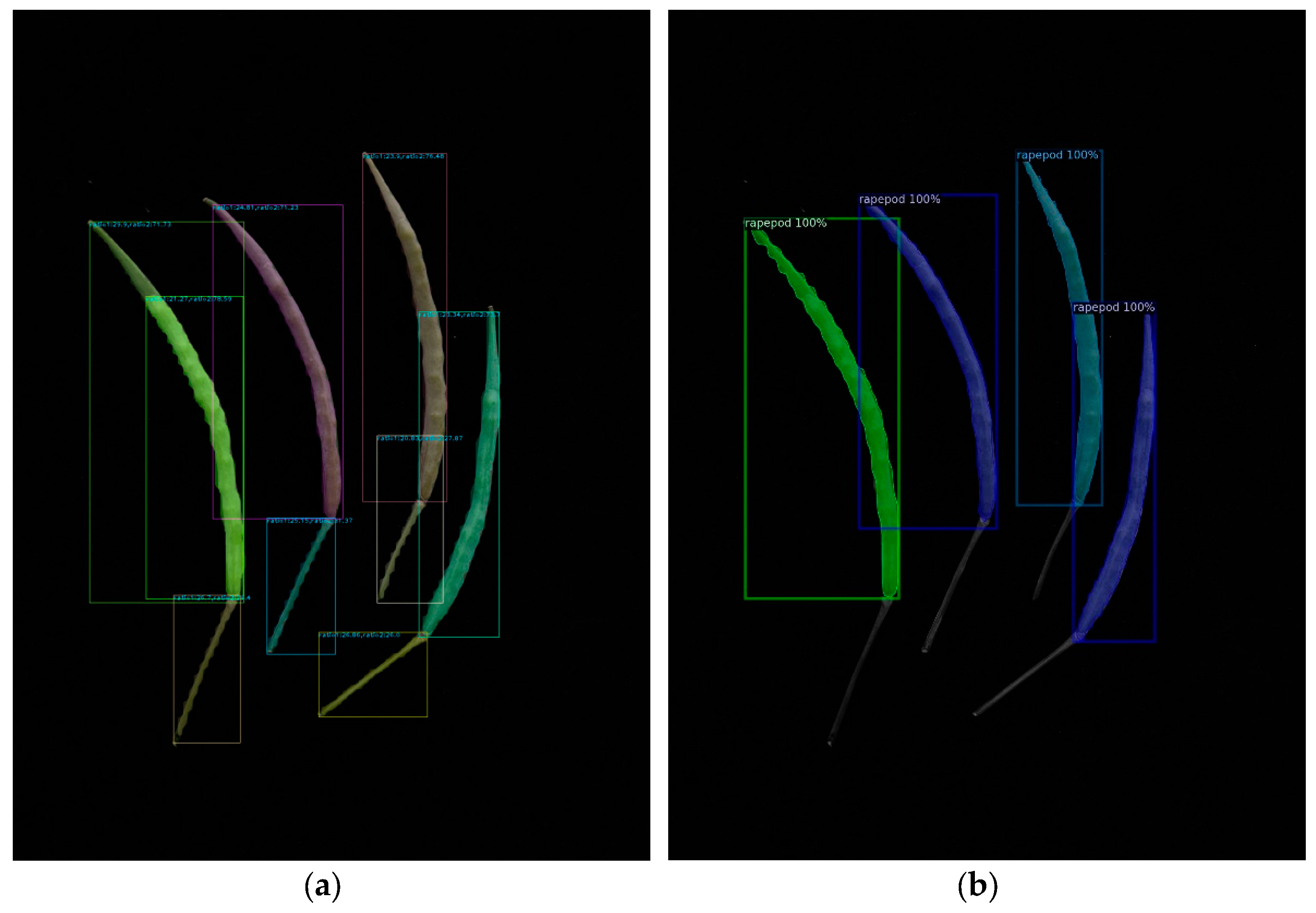 Plants 12 03328 g003