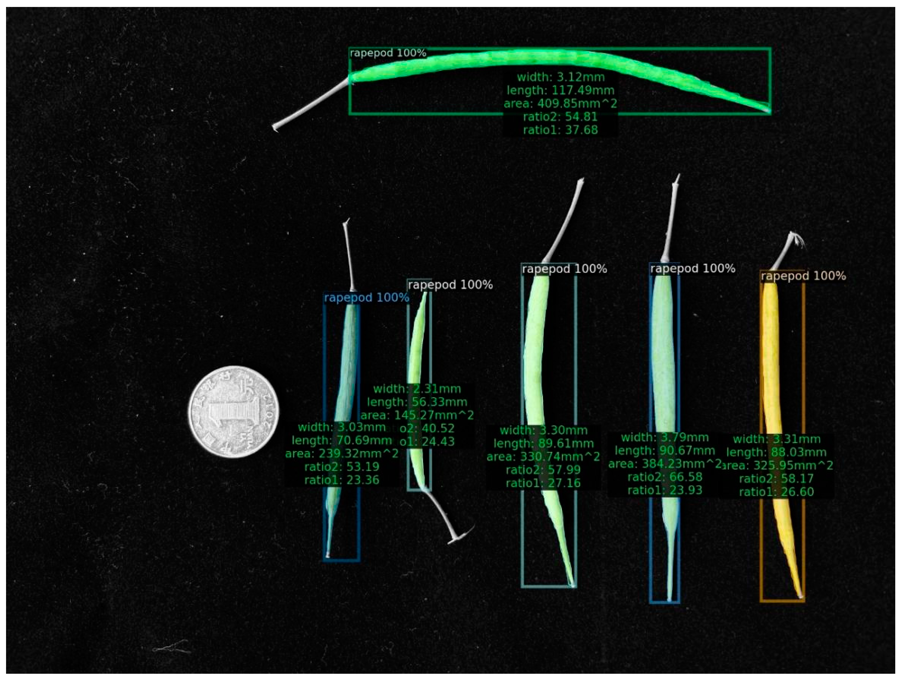 Plants 12 03328 g005