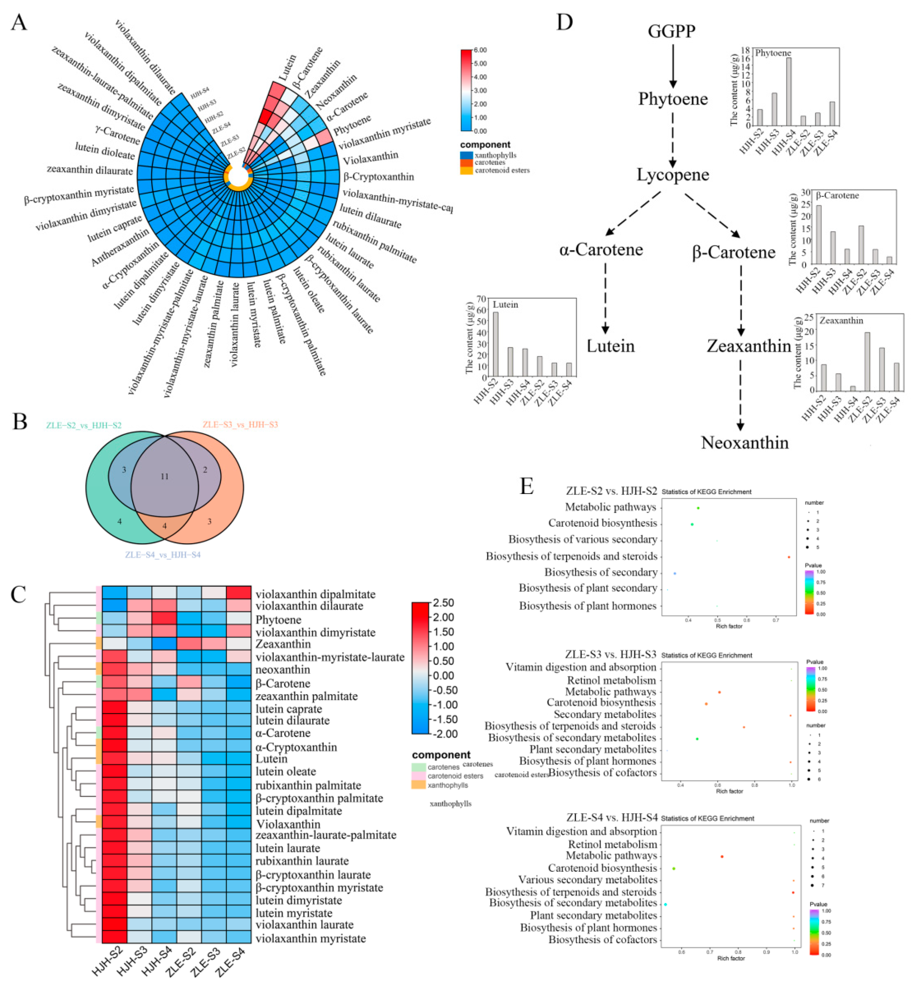 Plants 12 03333 g003 Plants 12 03333 g003