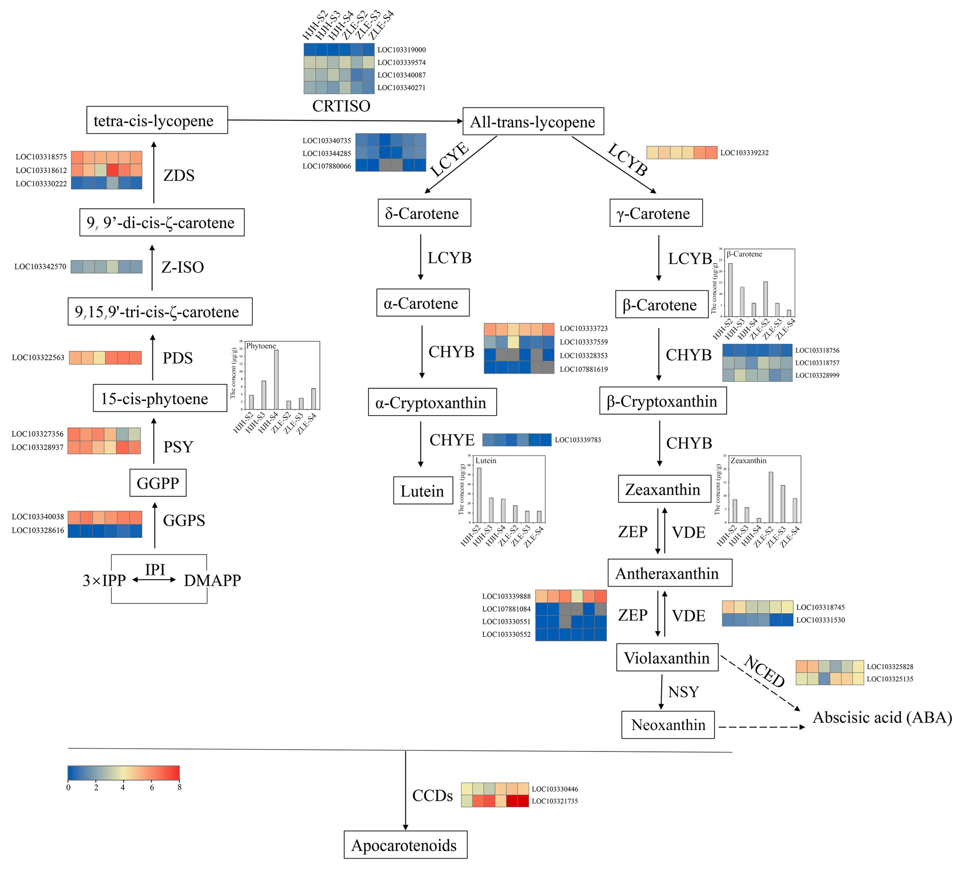 Plants 12 03333 g006 Plants 12 03333 g006