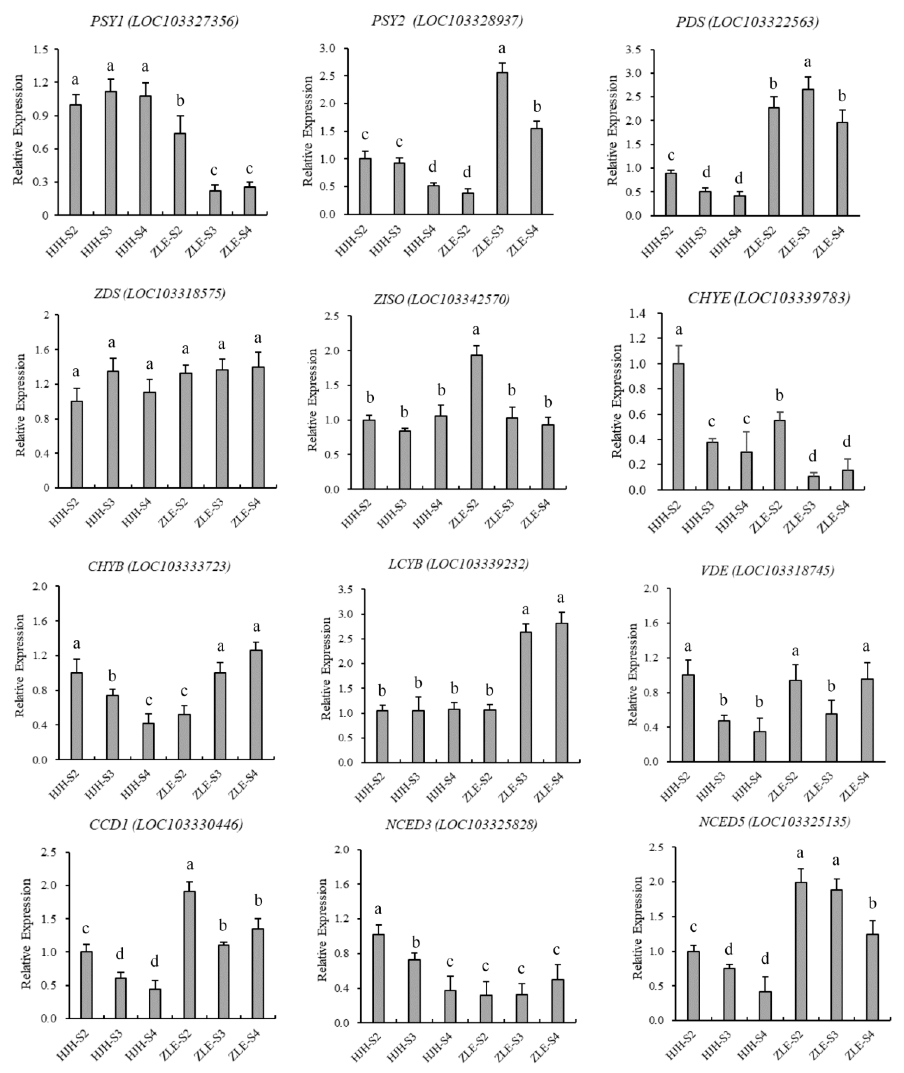 Plants 12 03333 g007 Plants 12 03333 g007