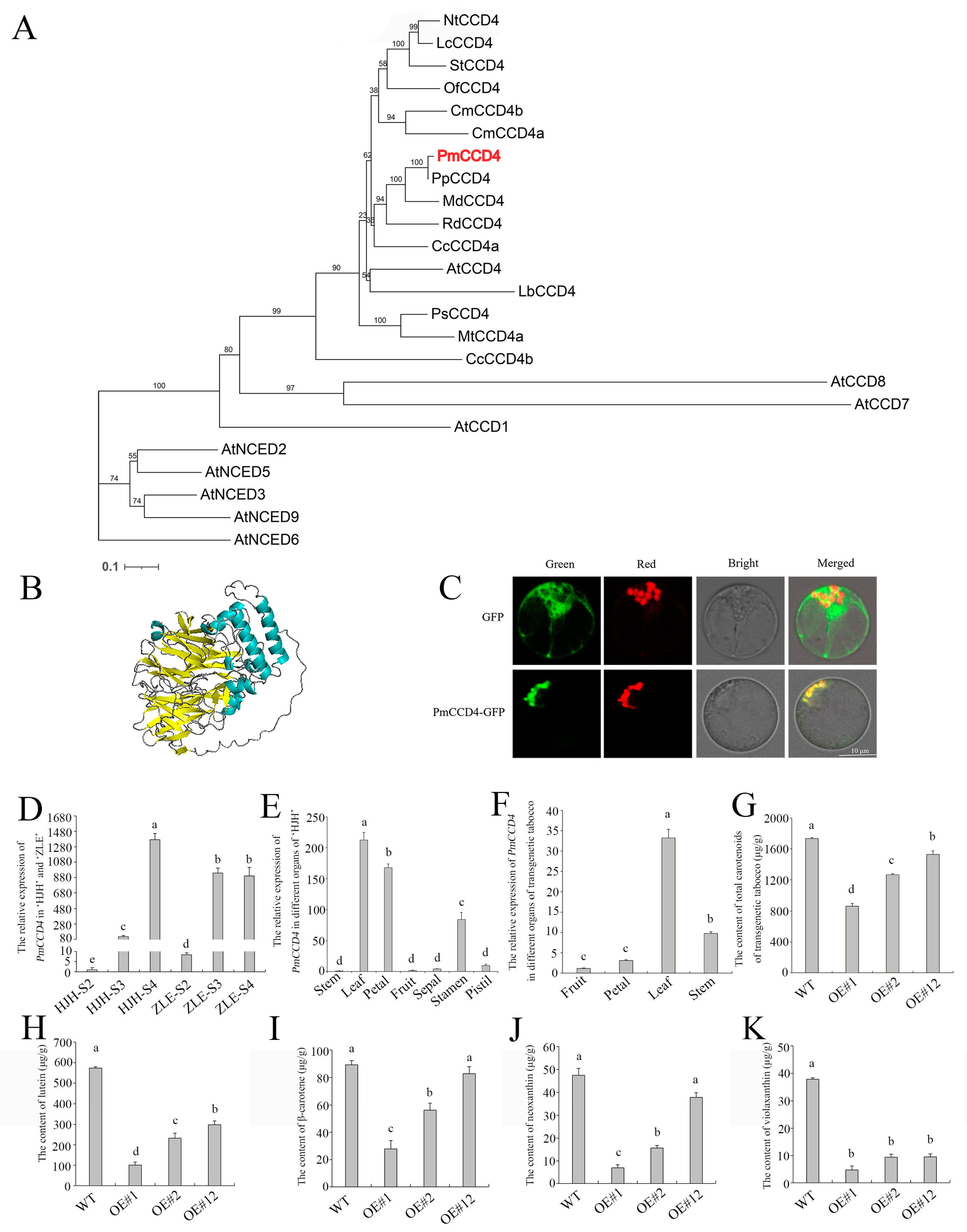 Plants 12 03333 g009 Plants 12 03333 g009