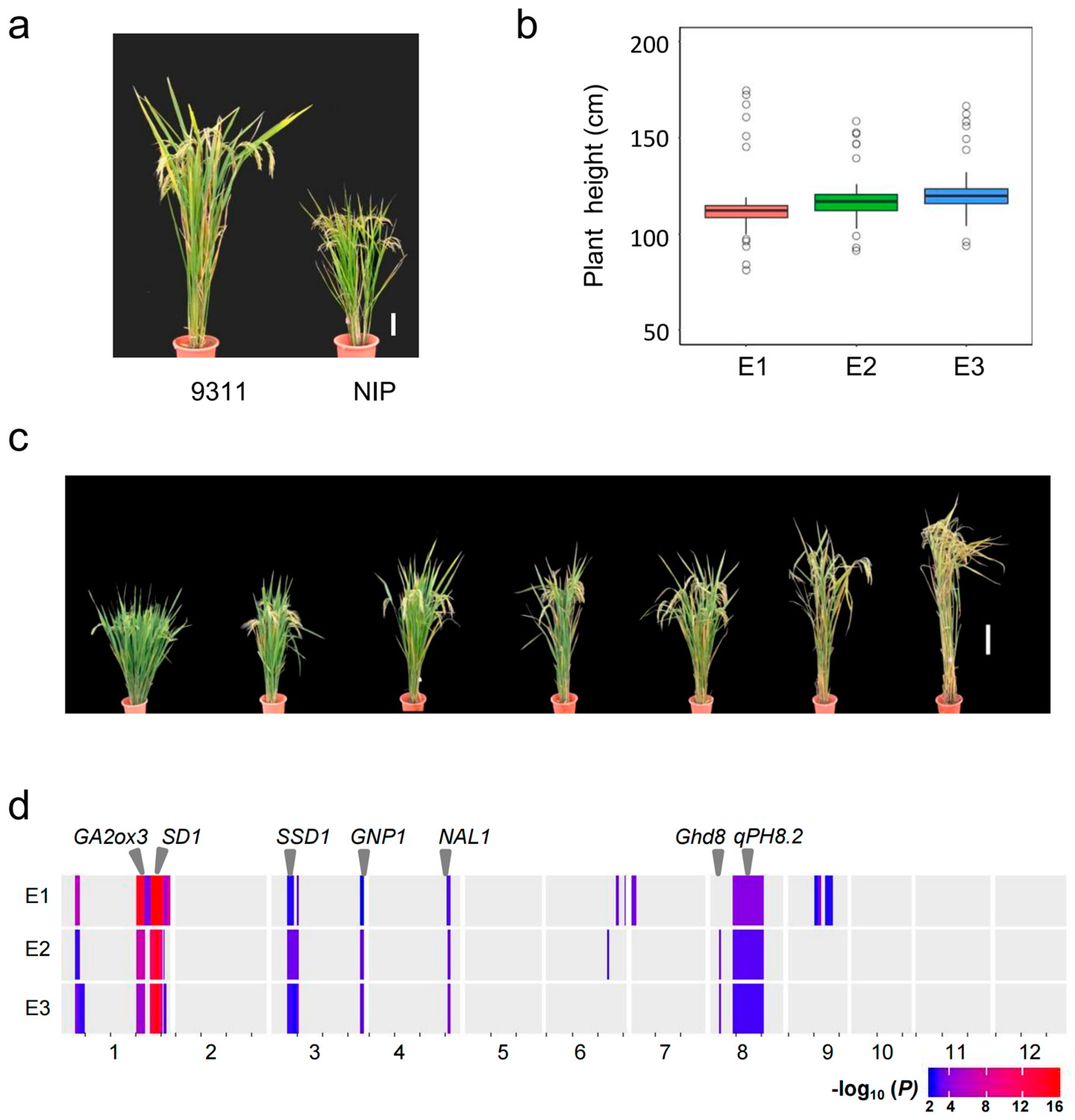 Plants 12 03336 g001 Plants 12 03336 g001