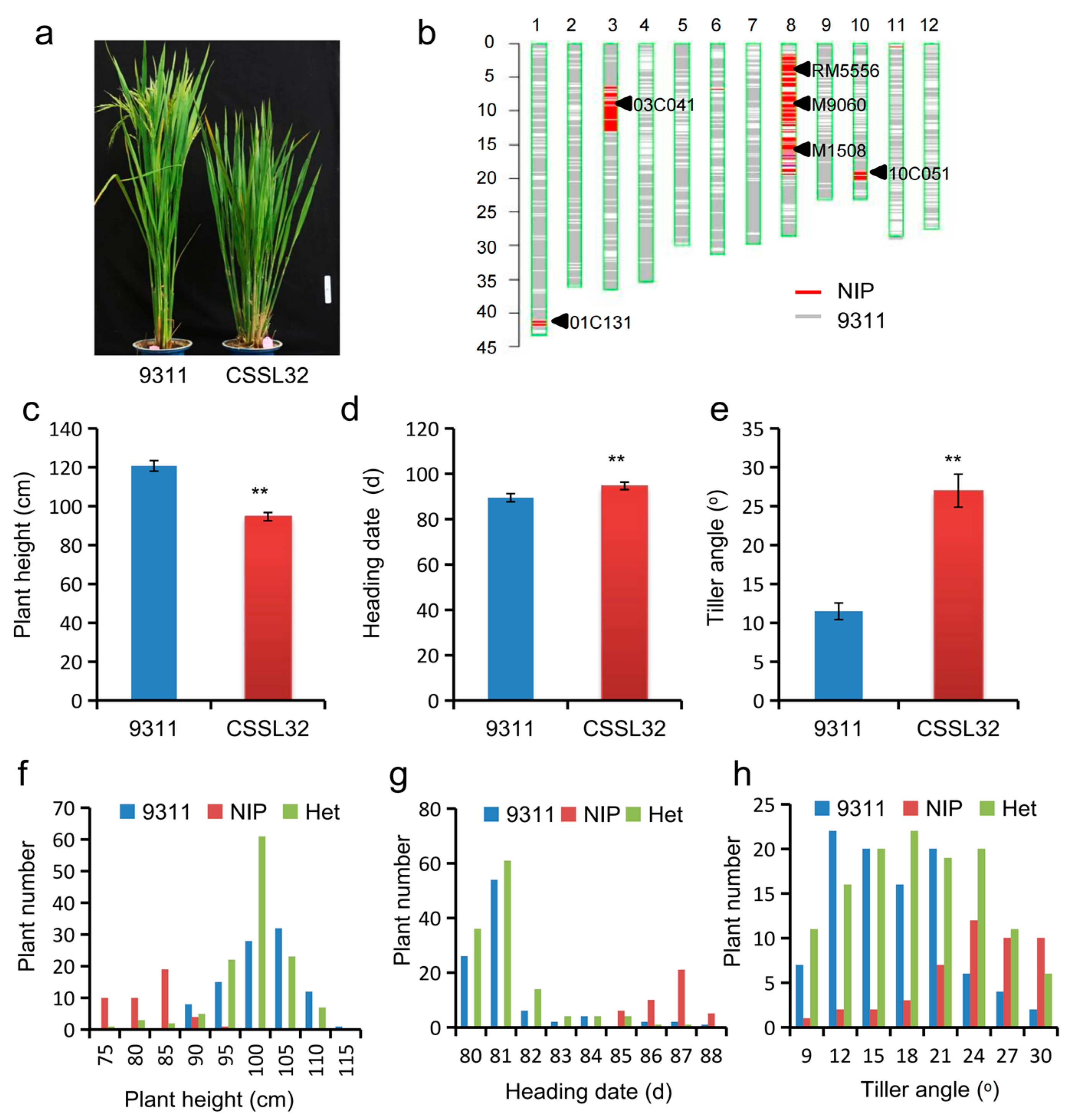 Plants 12 03336 g002 Plants 12 03336 g002