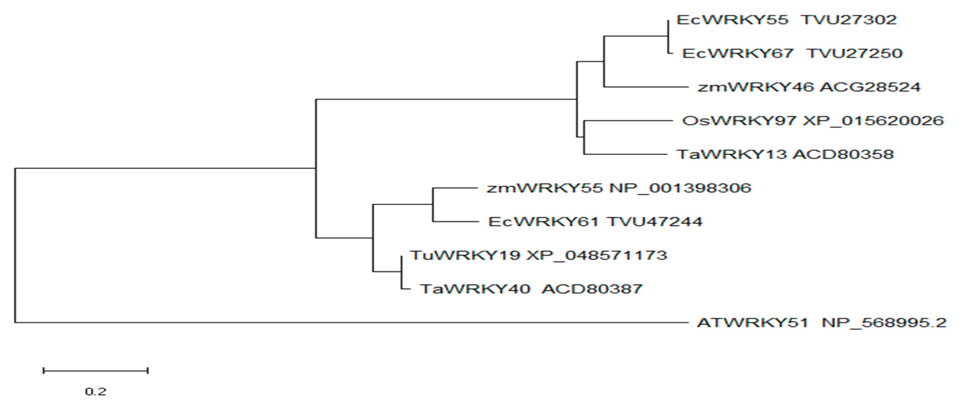 Plants 12 03338 g002