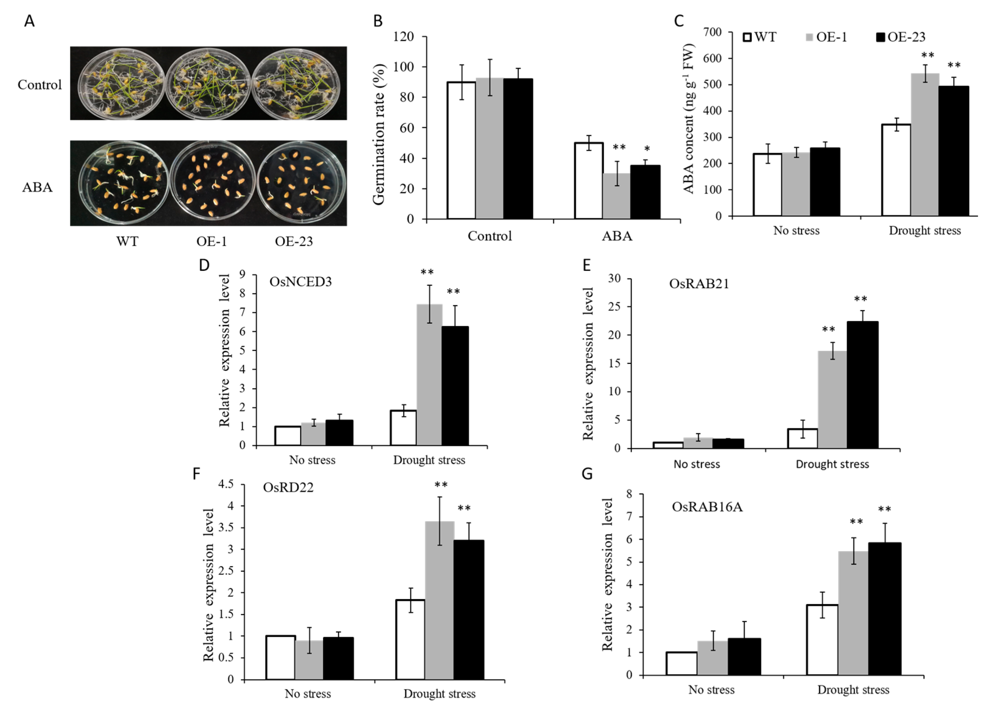 Plants 12 03338 g007