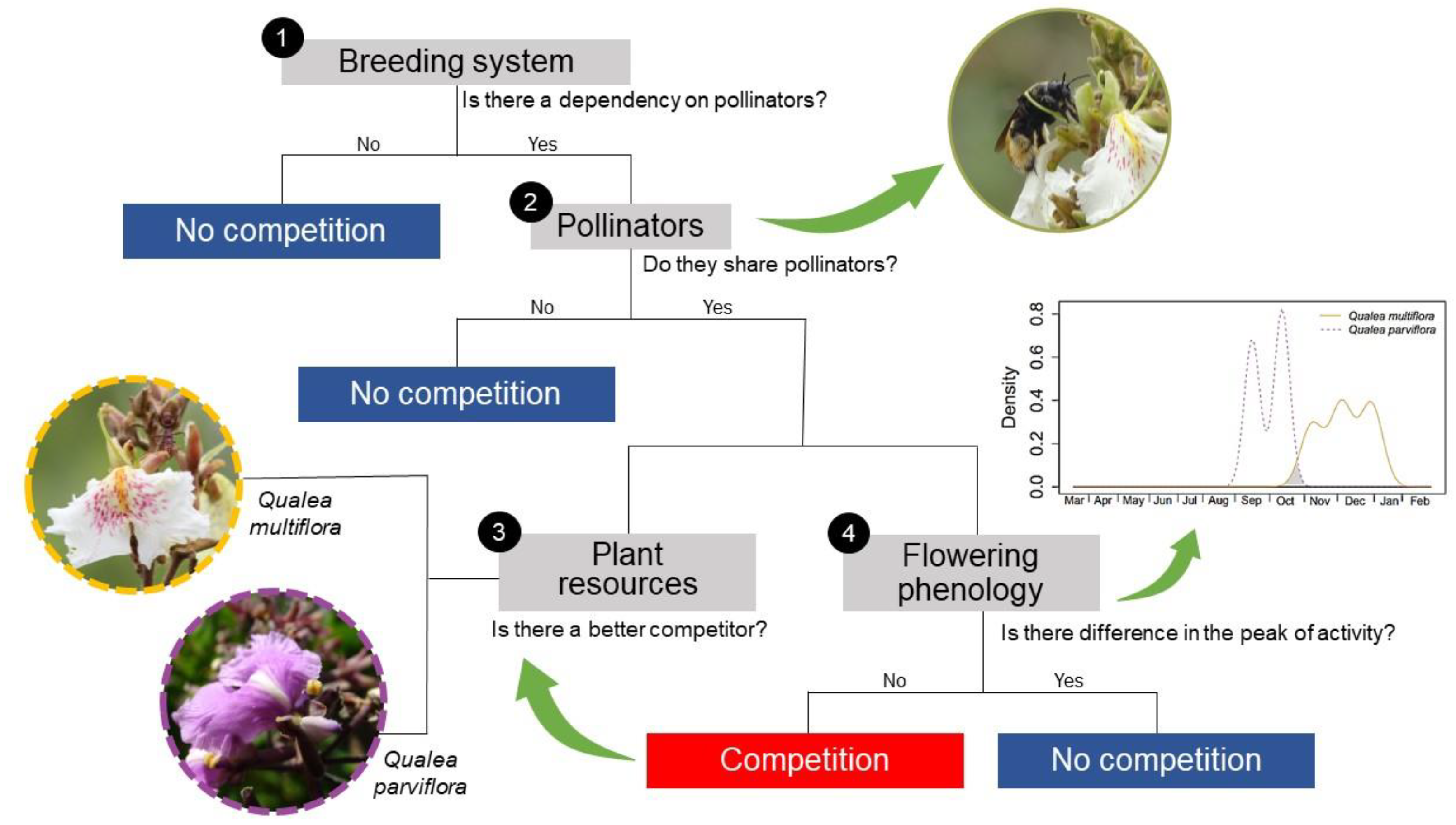 Plants 12 03347 g001 Plants 12 03347 g001