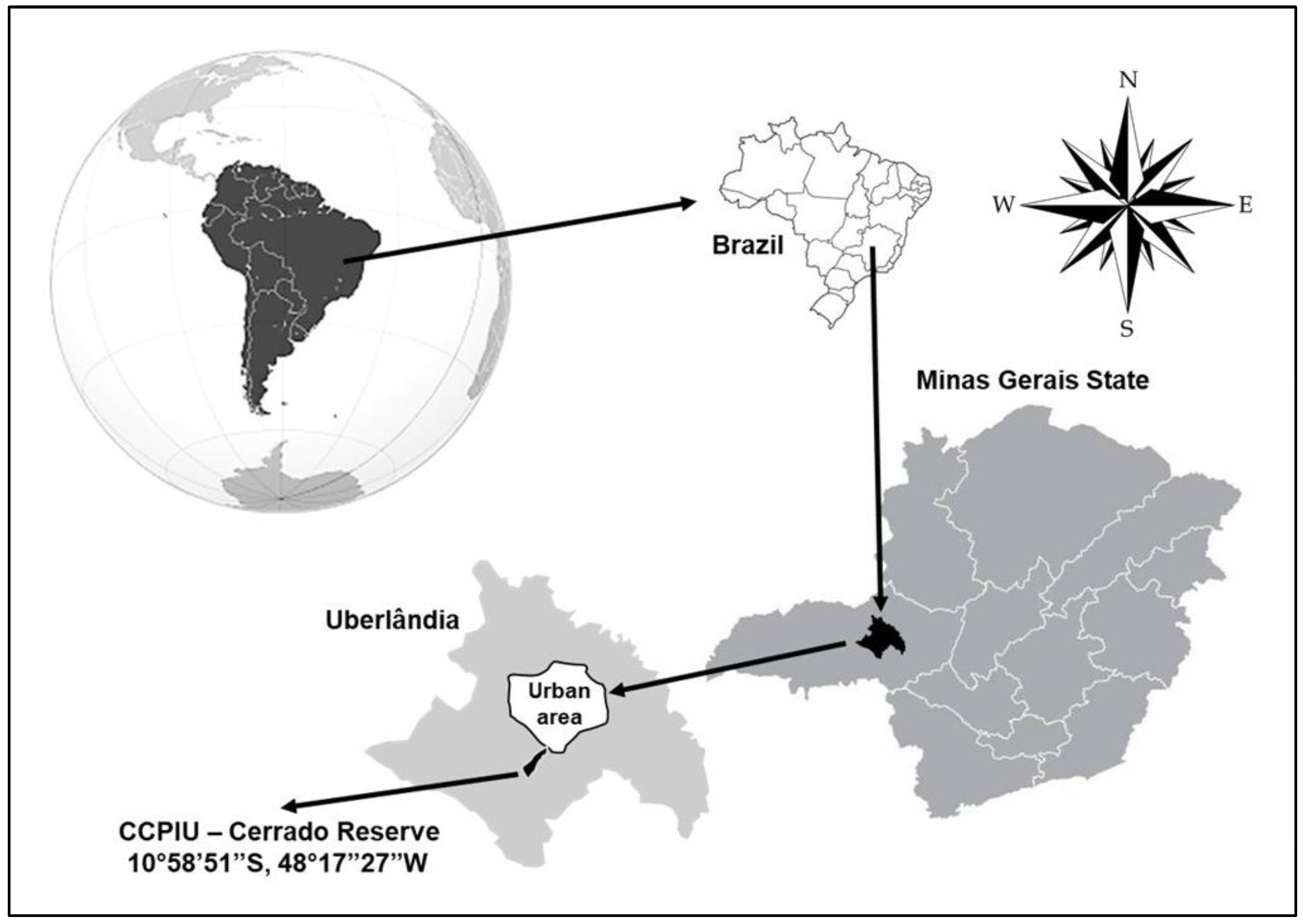 Plants 12 03347 g005 Plants 12 03347 g005