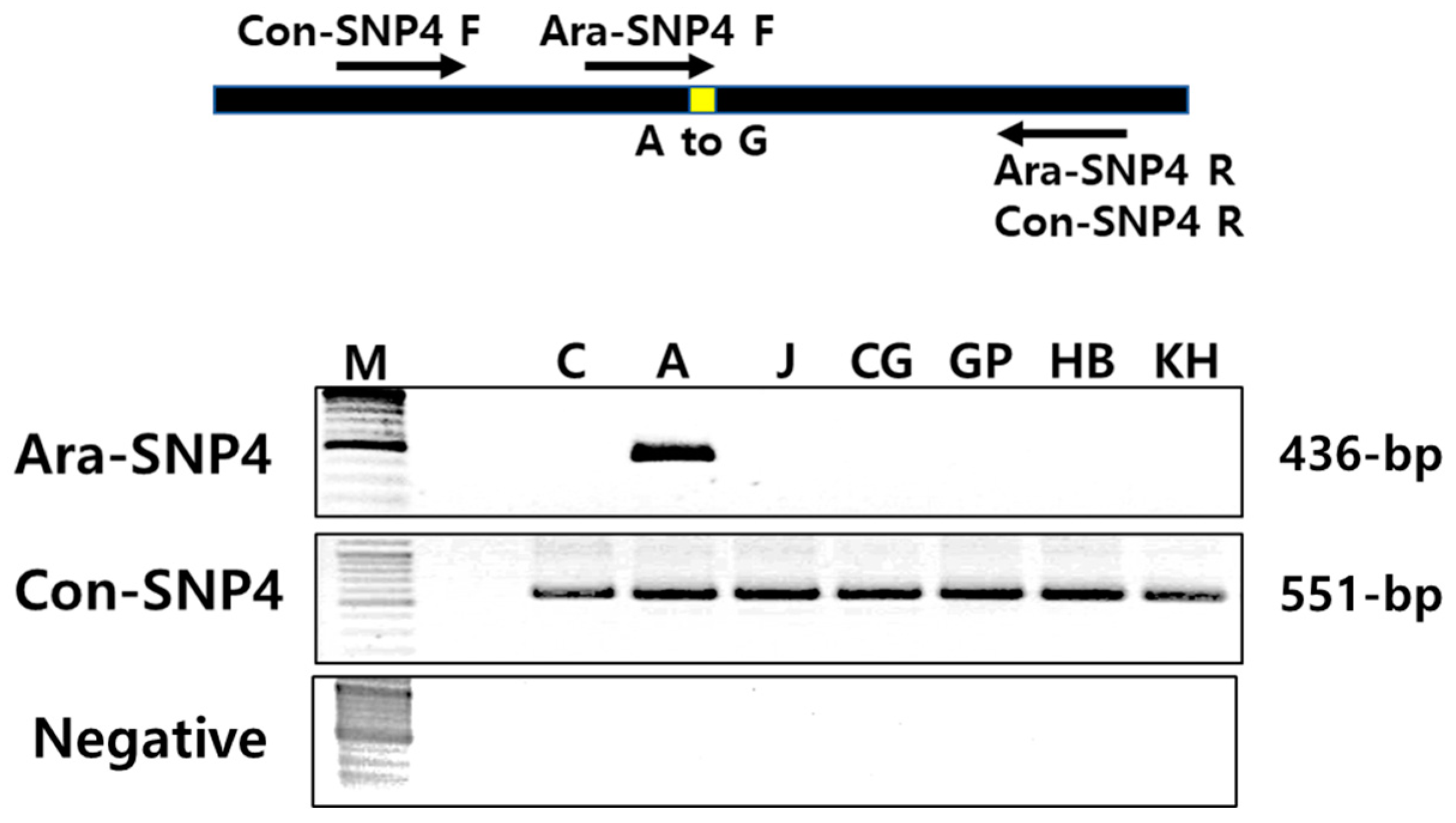 Plants 12 03355 g003