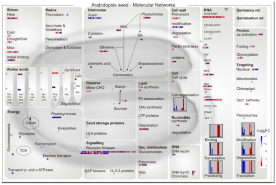 Integrated Analysis of Transcriptome and Metabolome Reveals