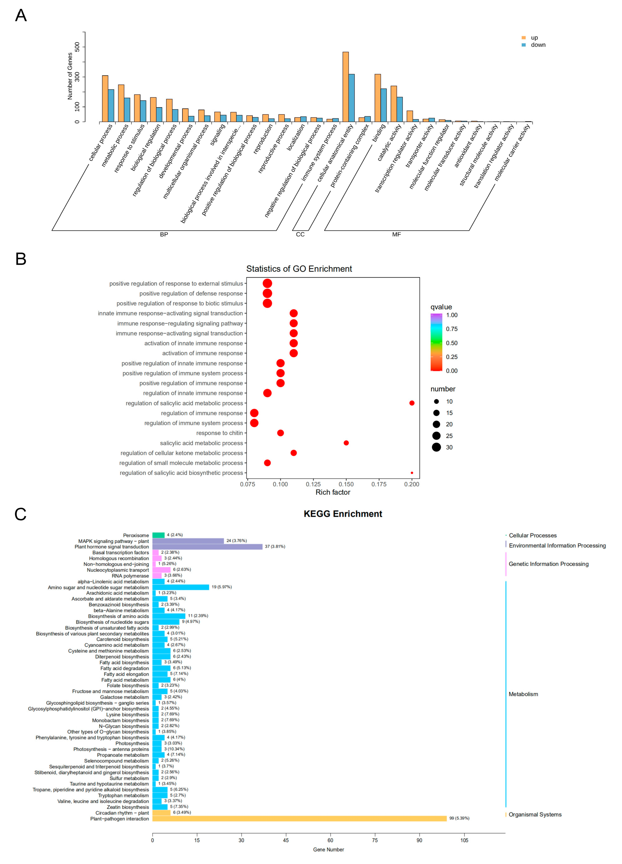 Plants 12 03359 g002