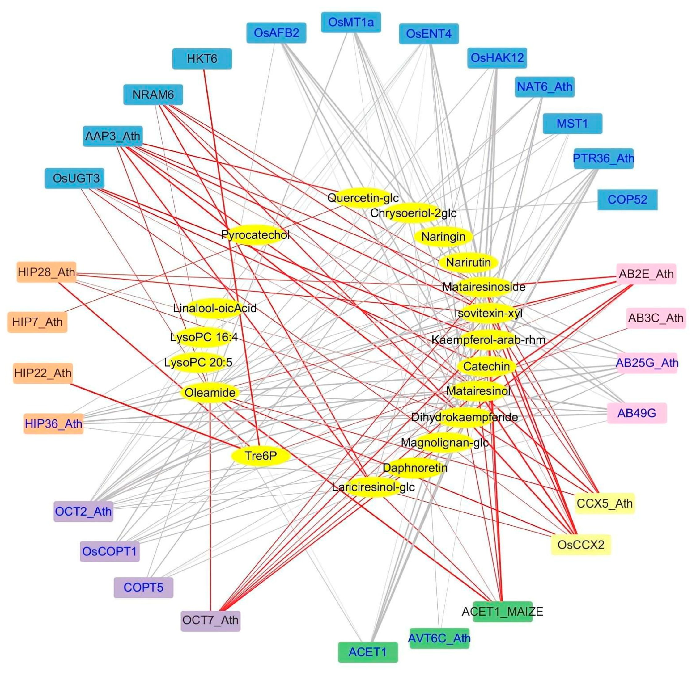 3セット専用ページ Integrated Analysis of Transcriptome and Metabolome Reveals