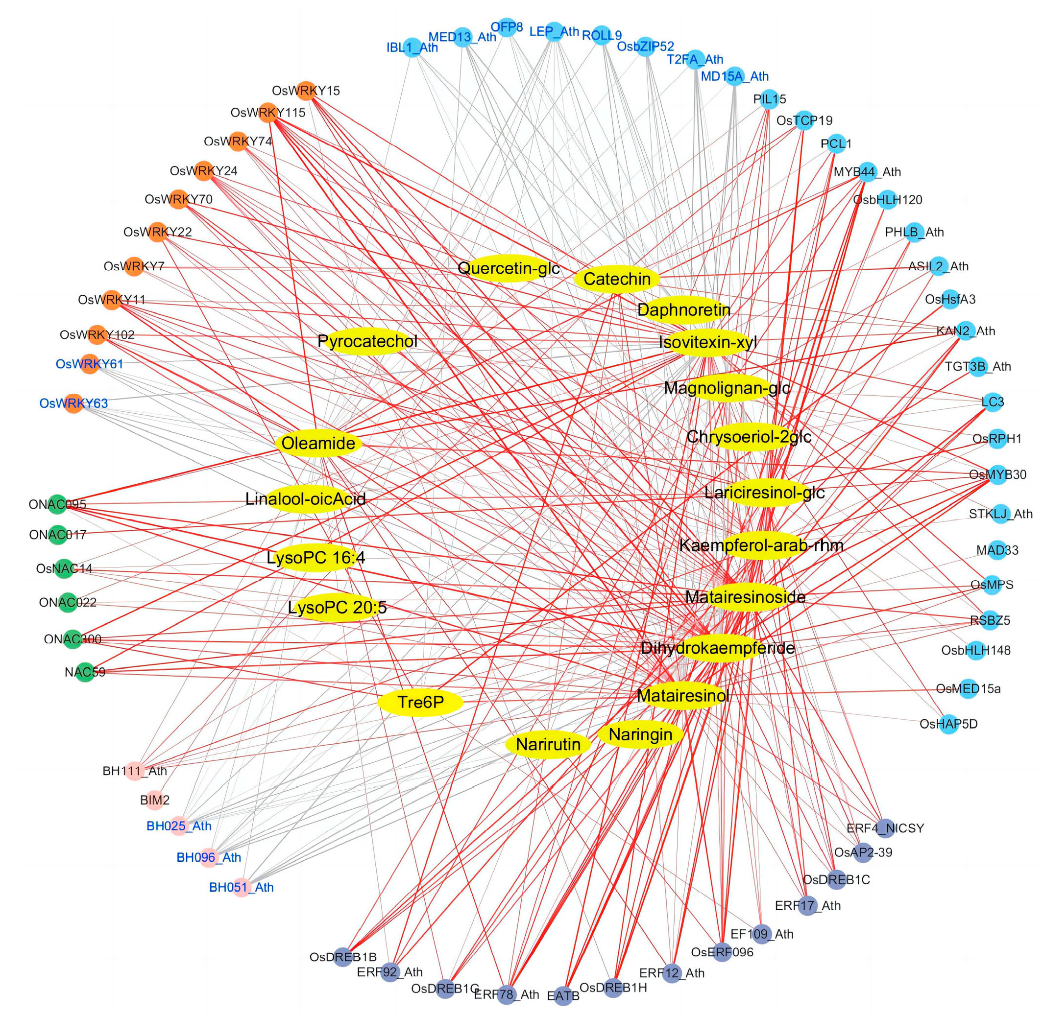 Plants 12 03359 g005