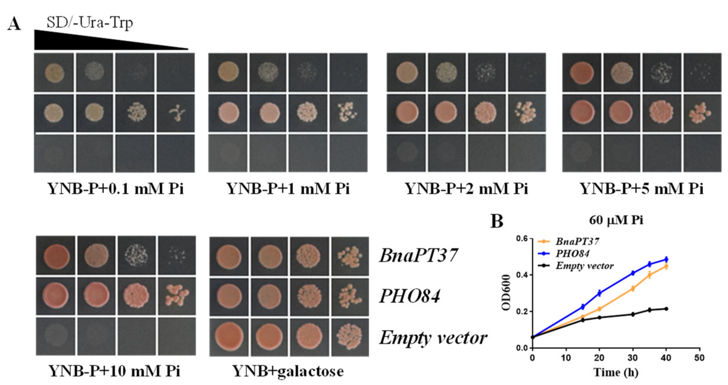 Plants 12 03362 g004