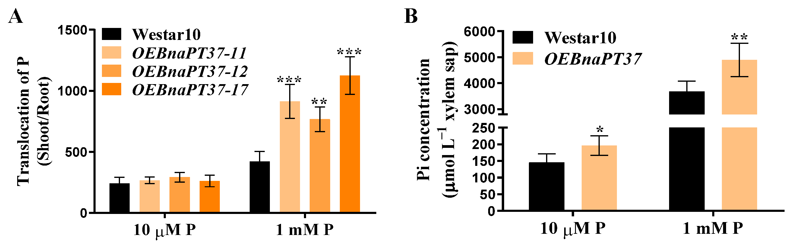 Plants 12 03362 g006