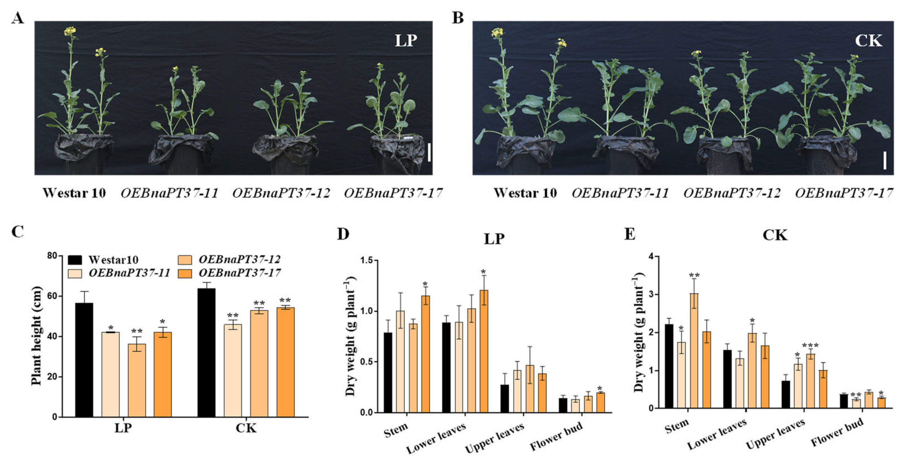 Plants 12 03362 g009