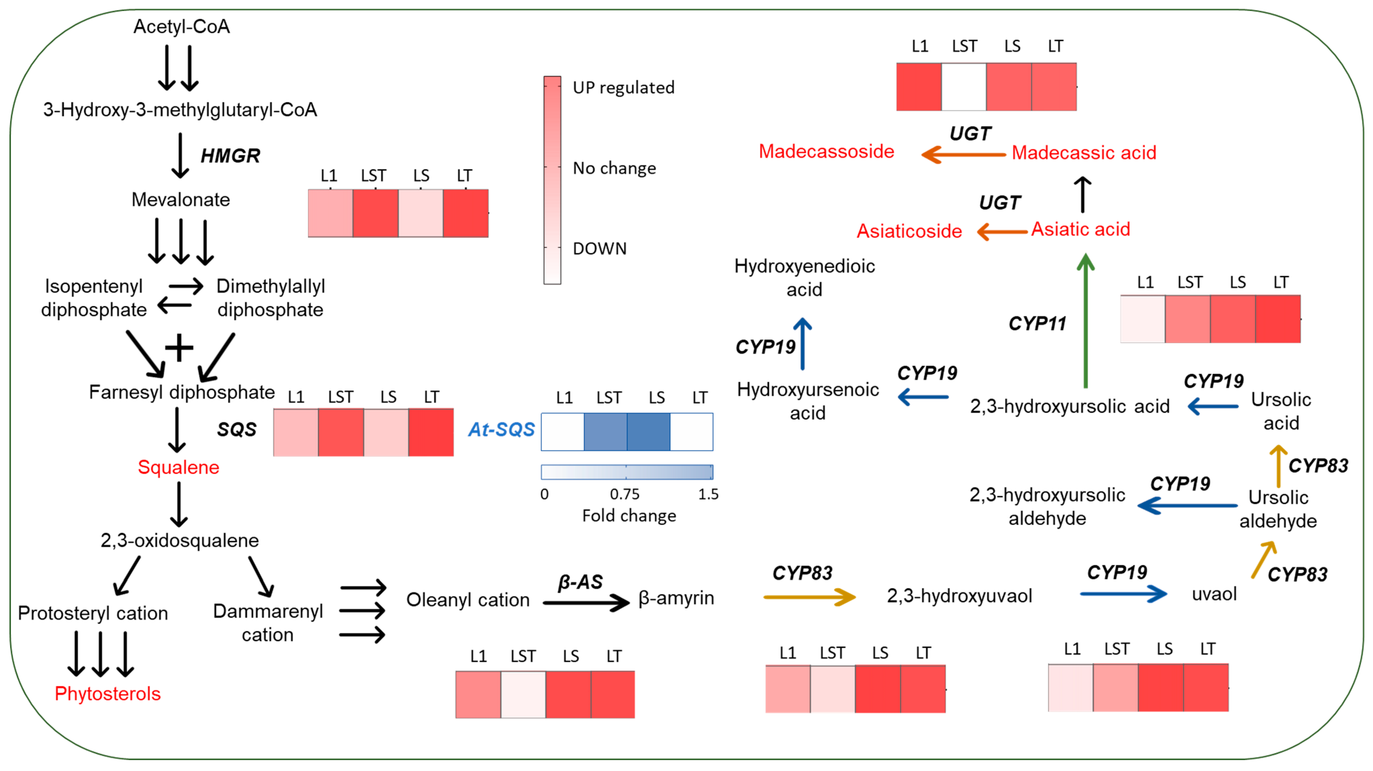 Plants 12 03363 g001