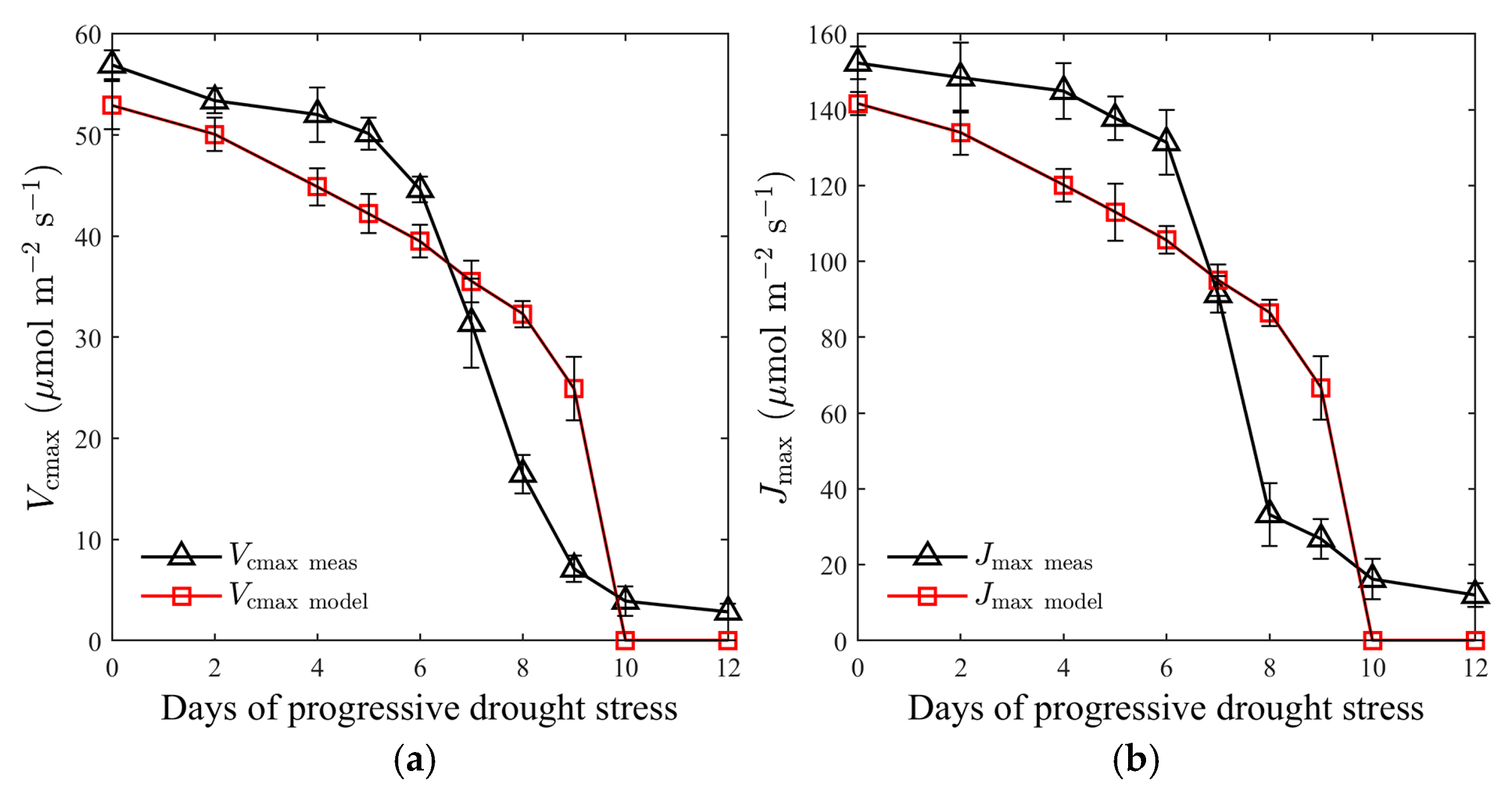 Plants 12 03365 g006