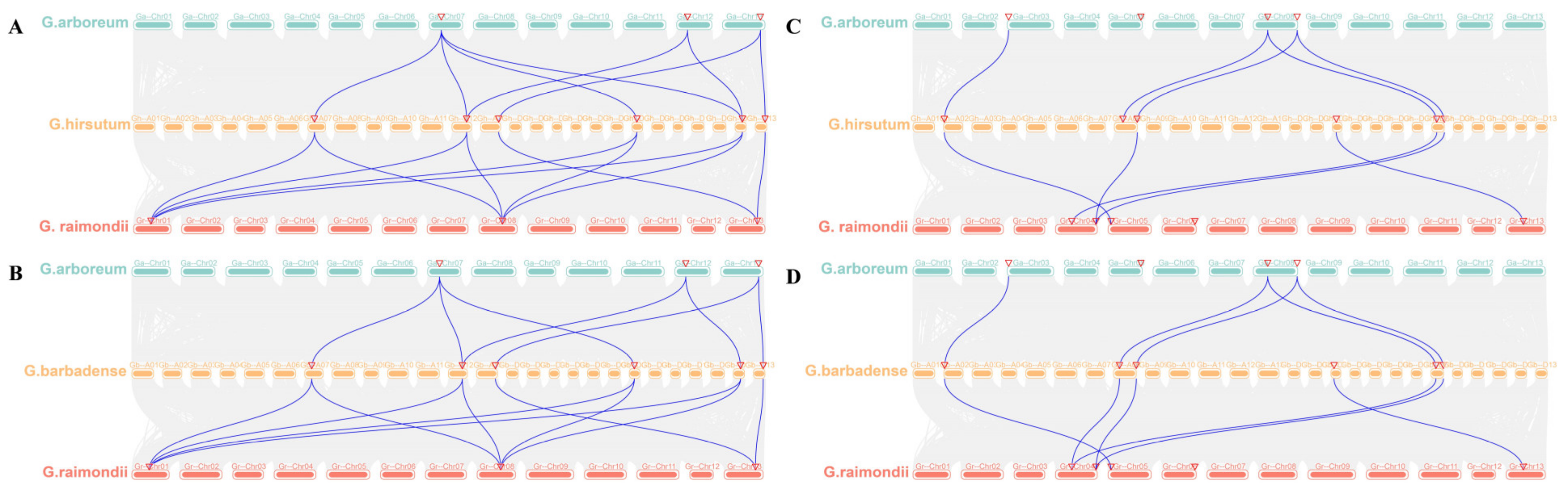 Plants 12 03366 g004