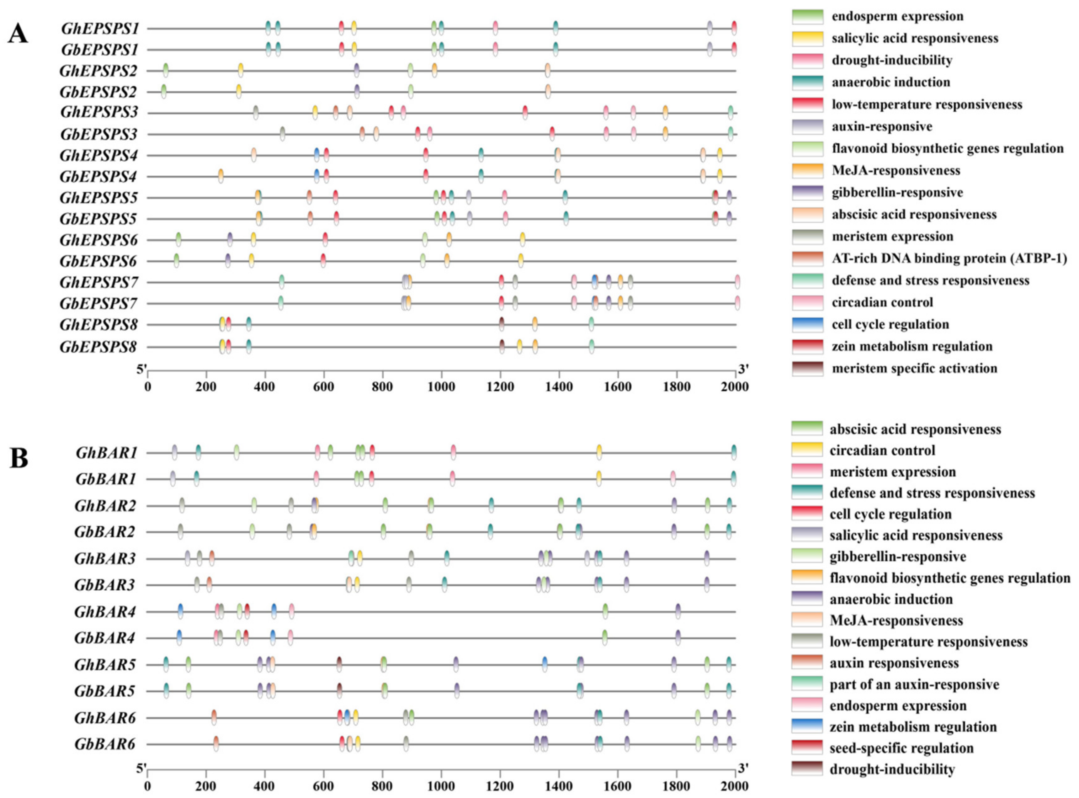 Plants 12 03366 g005