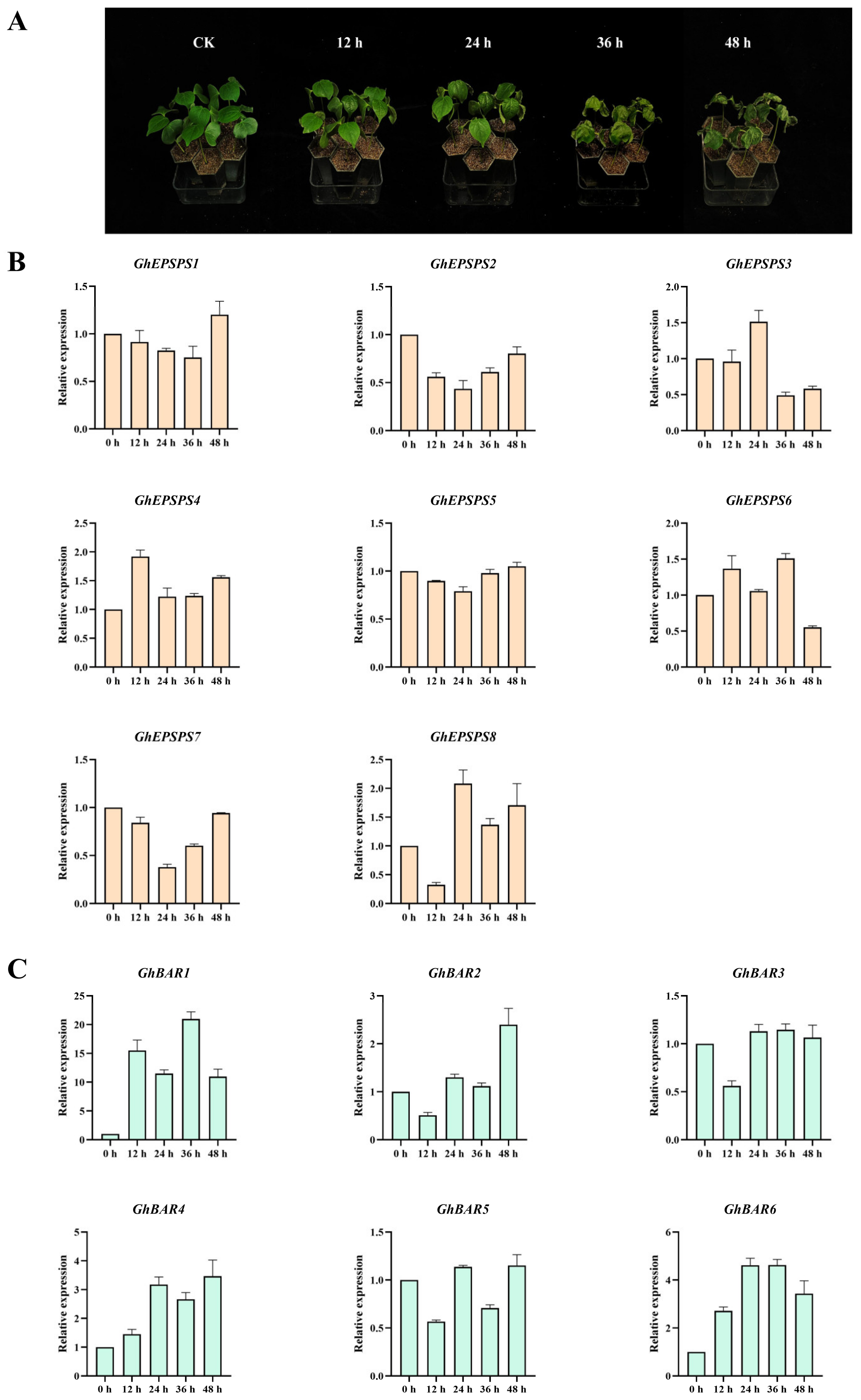 Plants 12 03366 g007