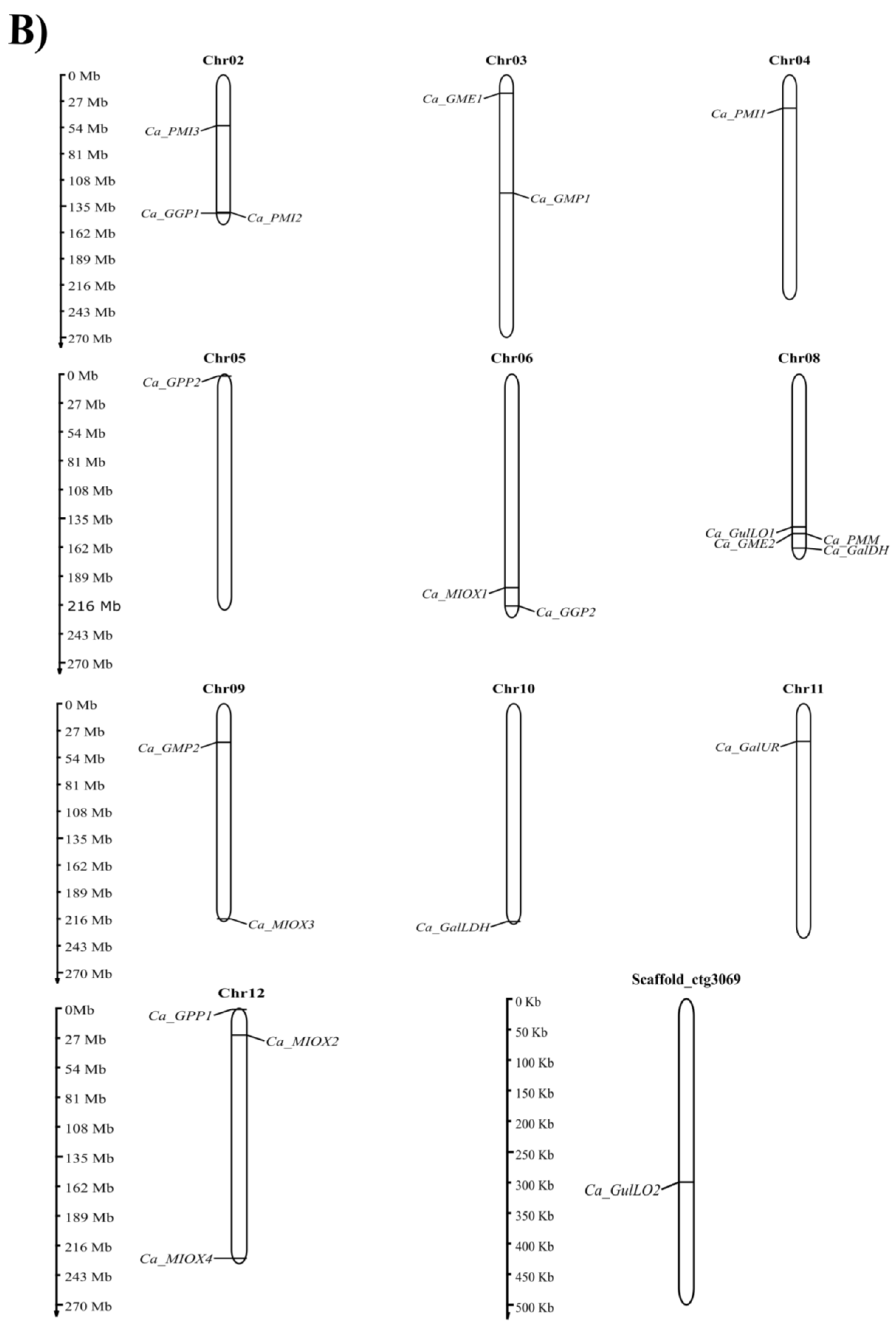 Plants 12 03367 g002b