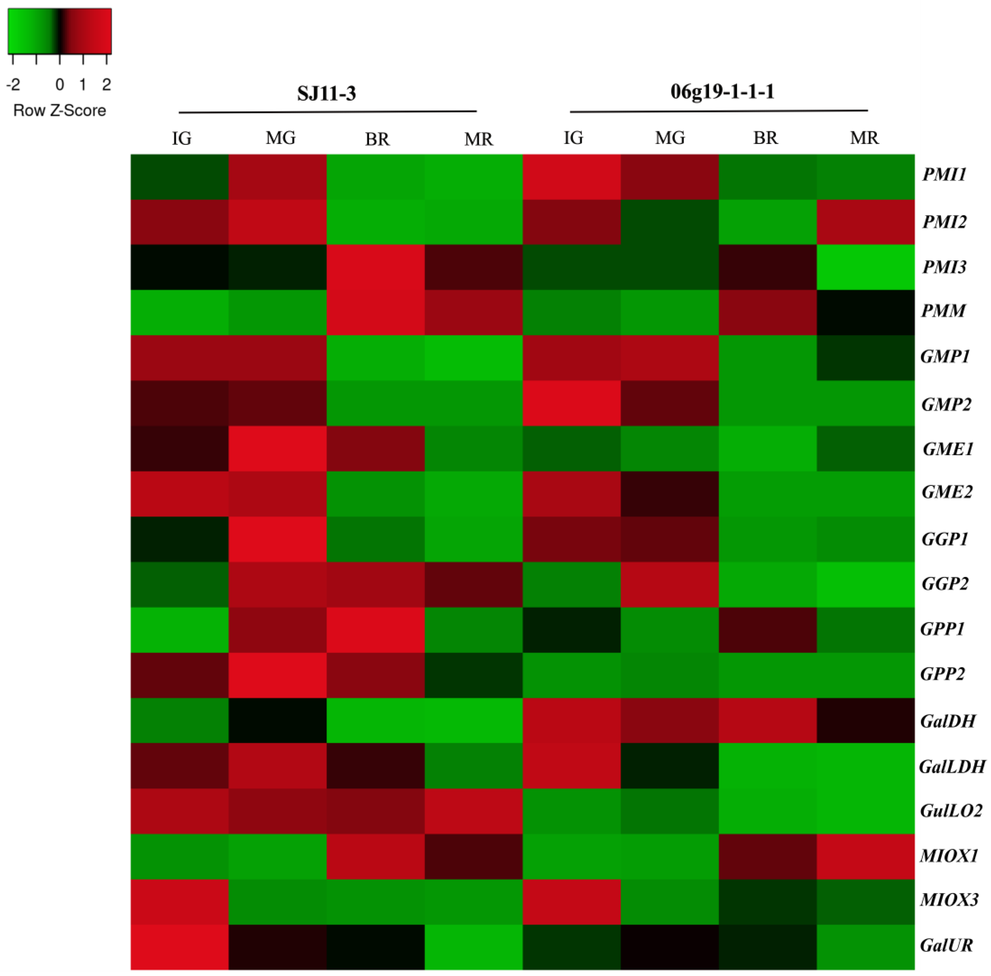 Plants 12 03367 g003