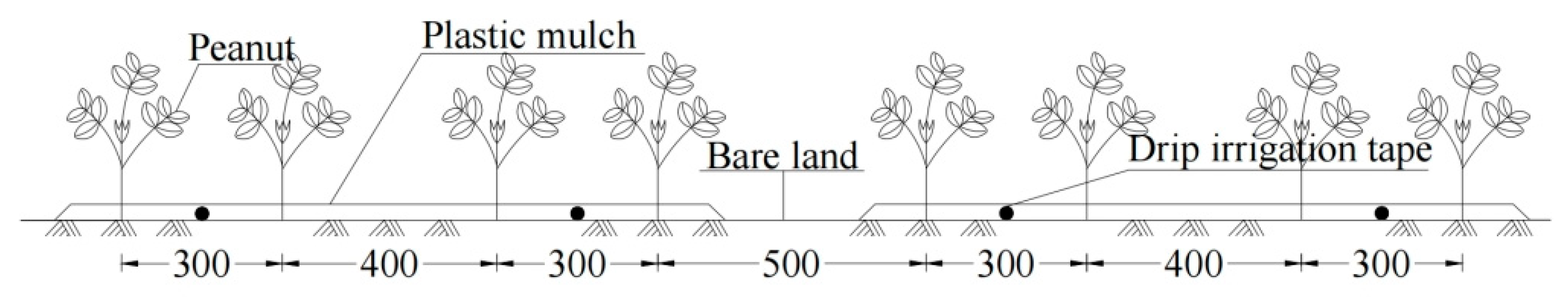 Plants 12 03368 g002