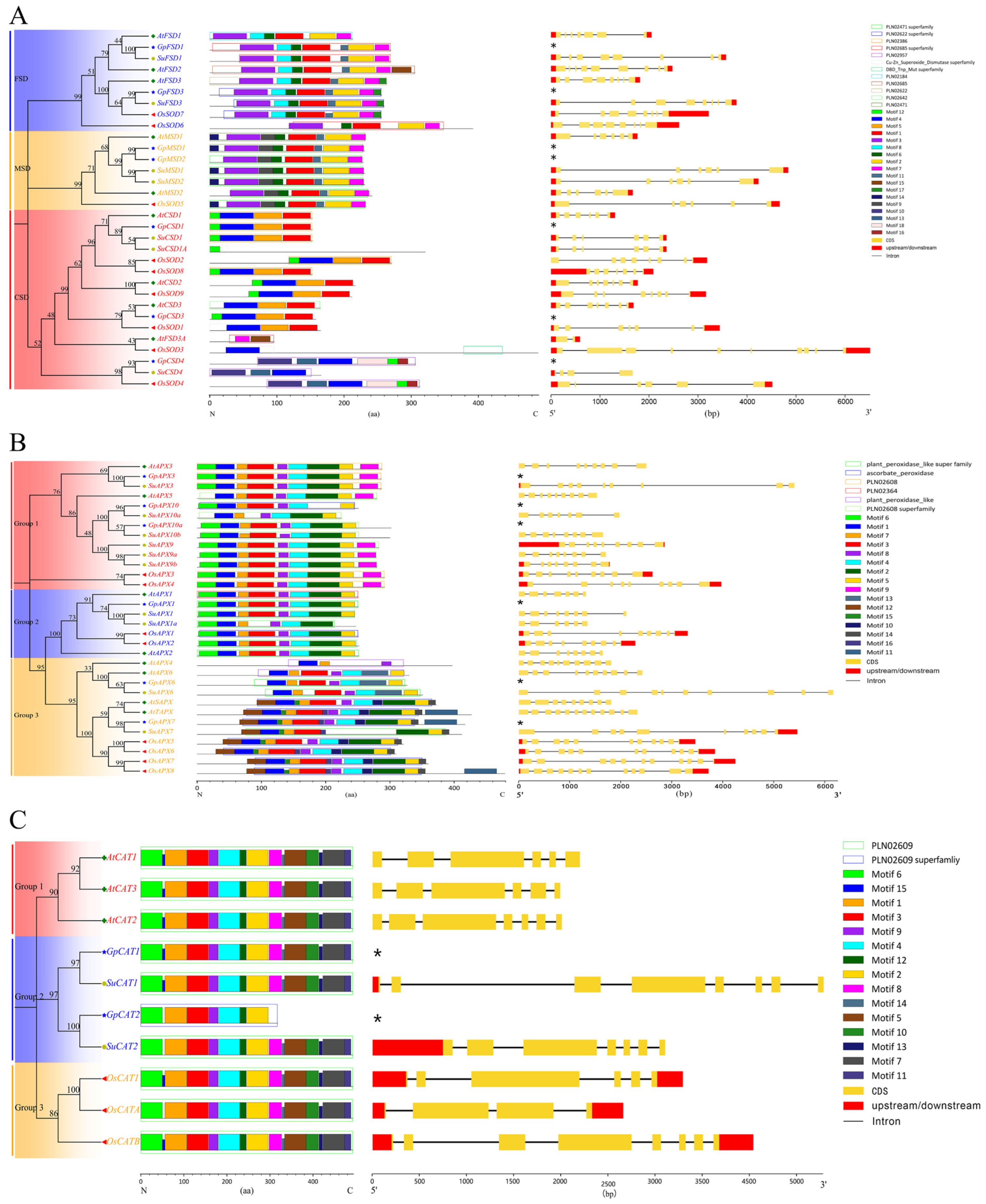 Plants 12 03370 g001