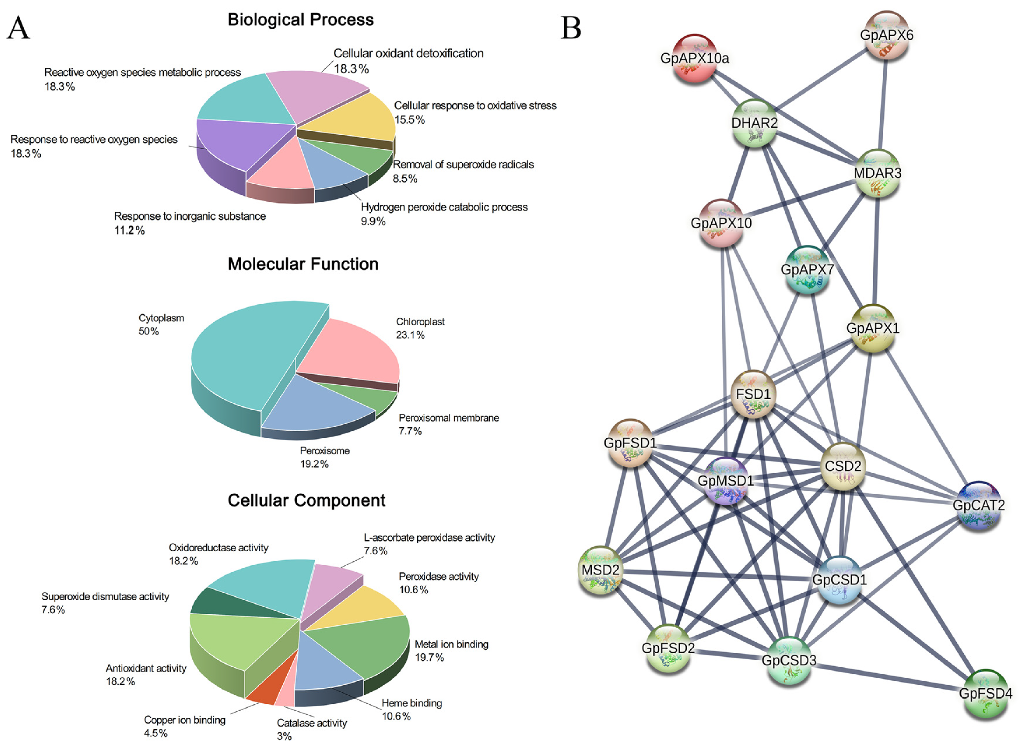 Plants 12 03370 g002