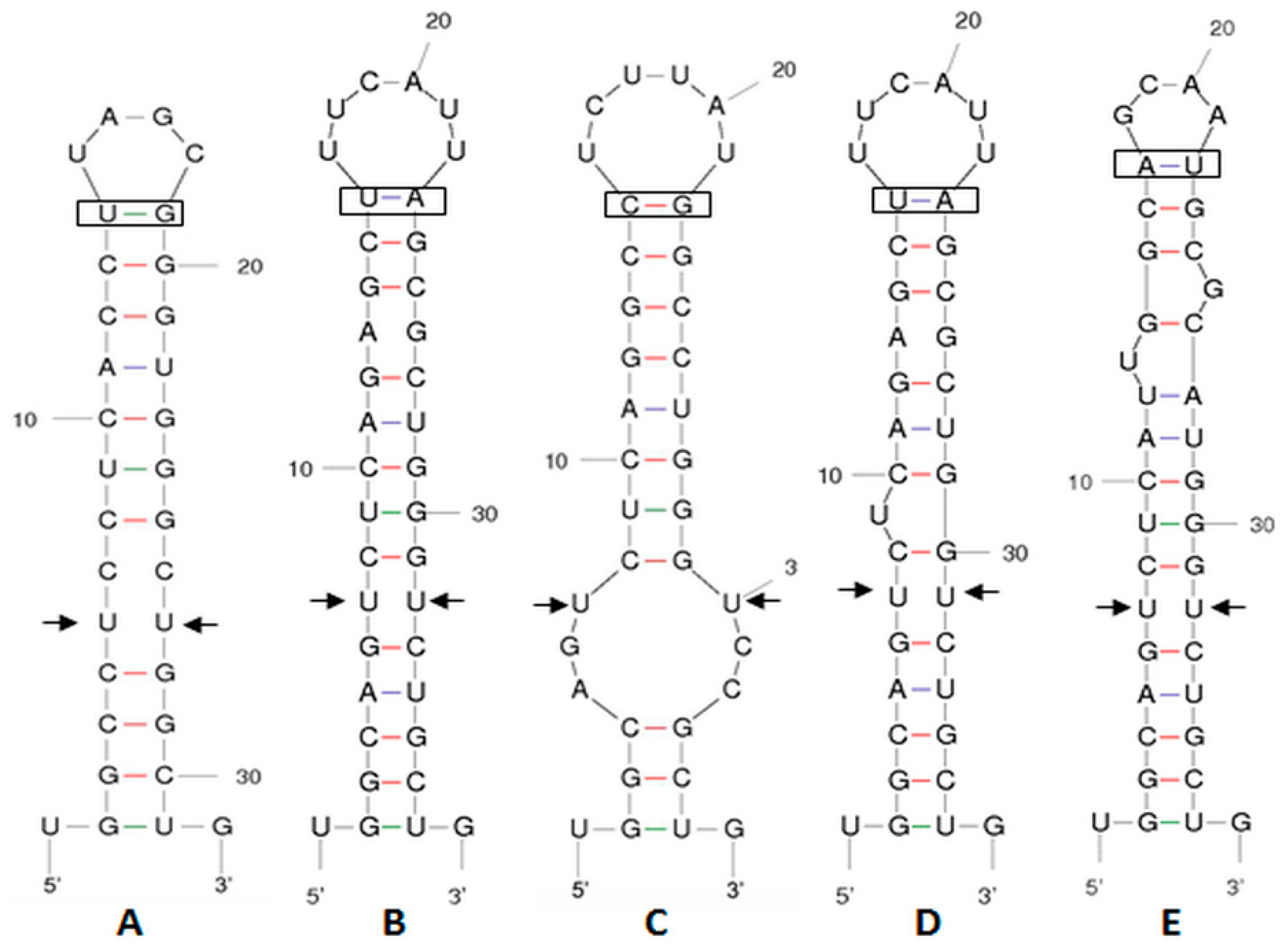 Plants 12 03372 g002 Plants 12 03372 g002