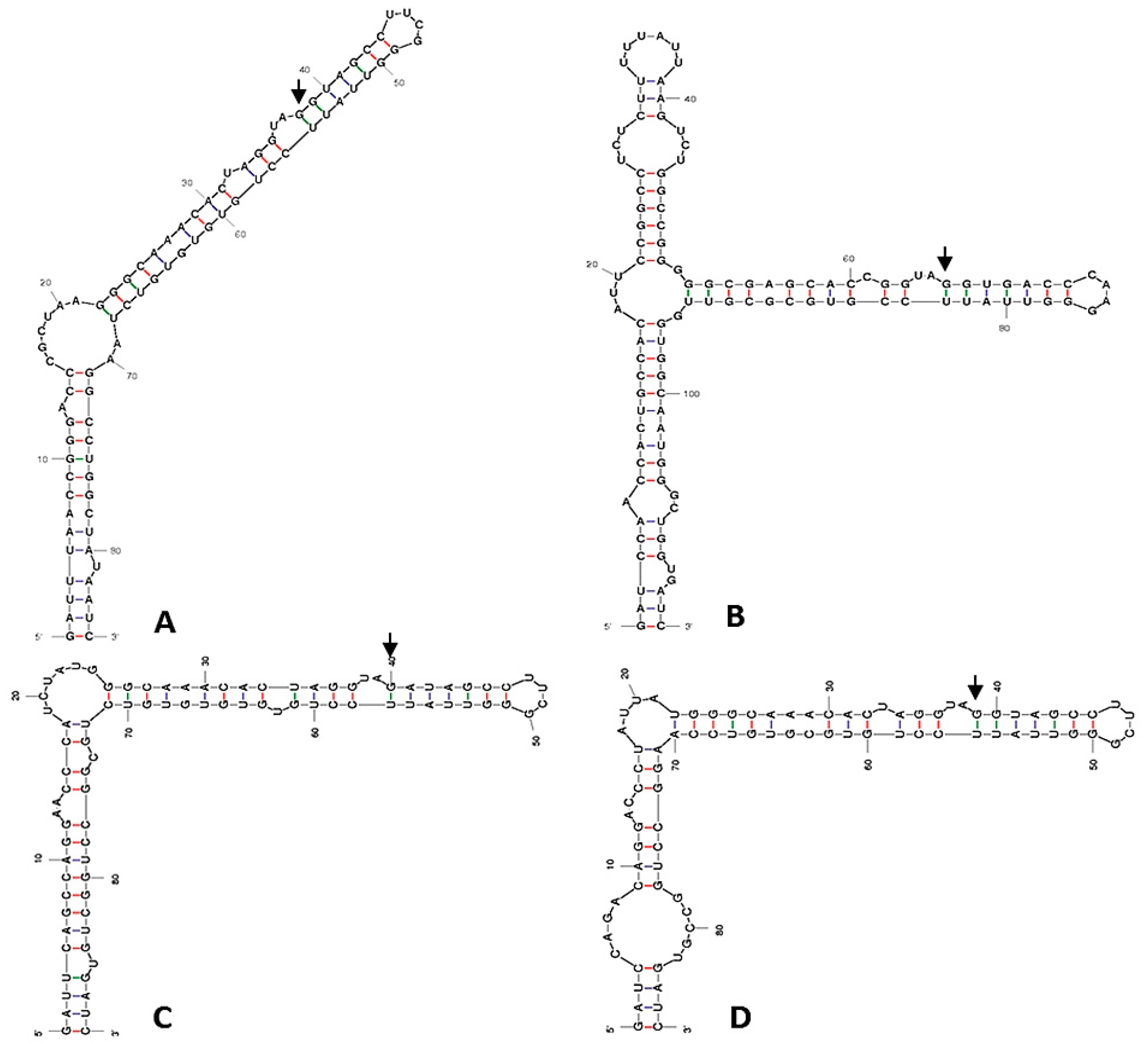 Plants 12 03372 g003 Plants 12 03372 g003