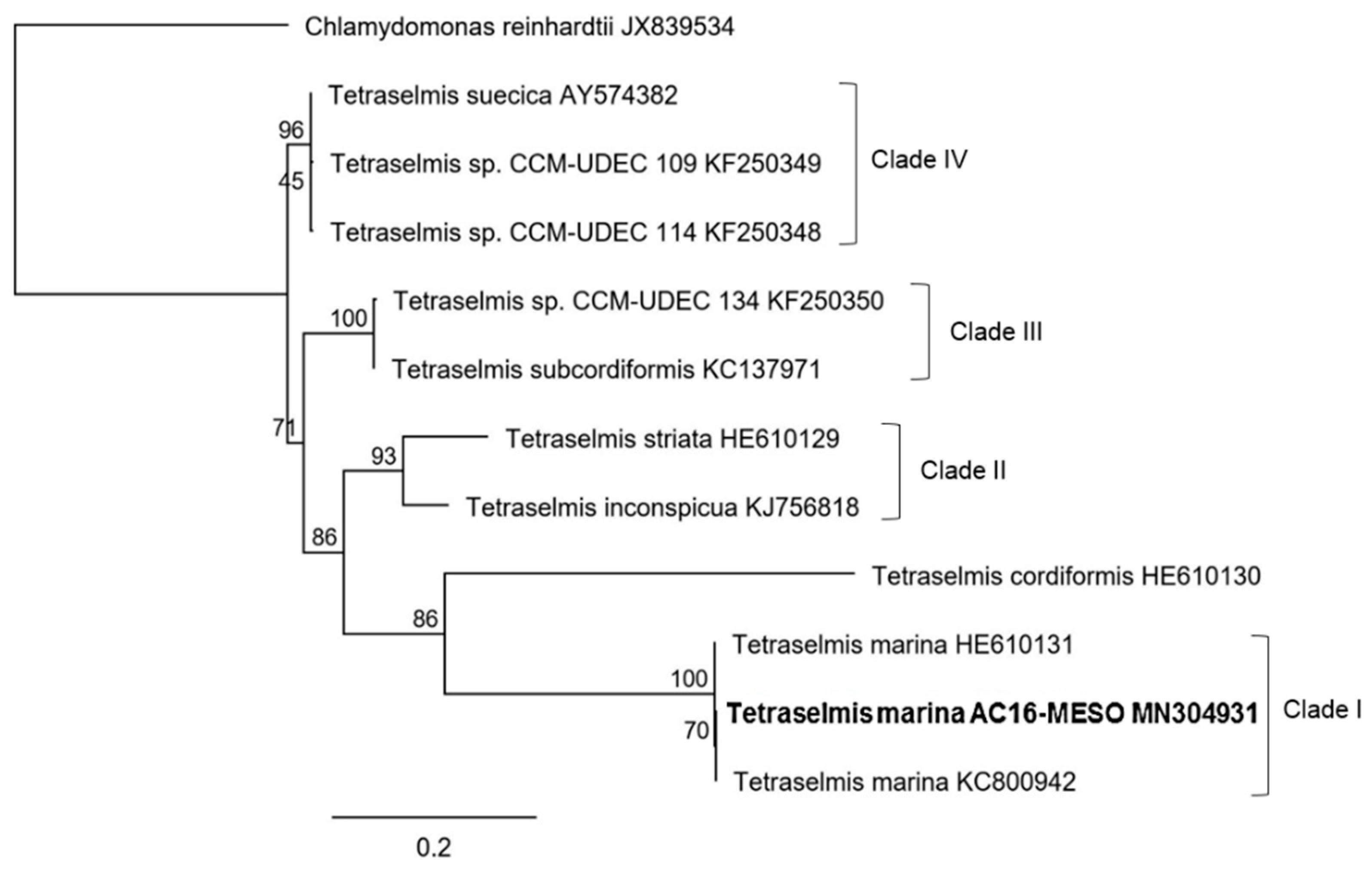 Plants 12 03372 g005 Plants 12 03372 g005