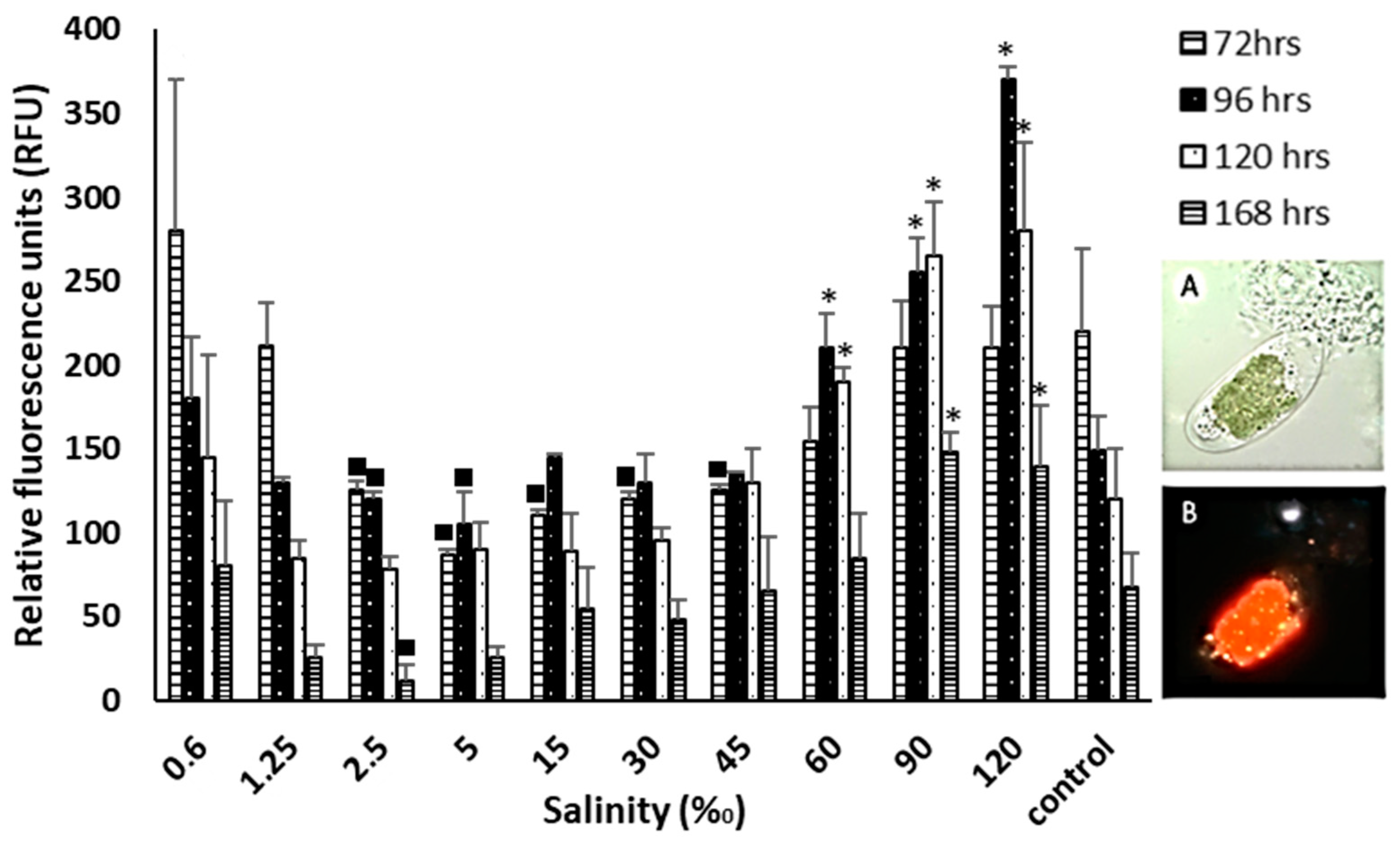 Plants 12 03372 g009 Plants 12 03372 g009