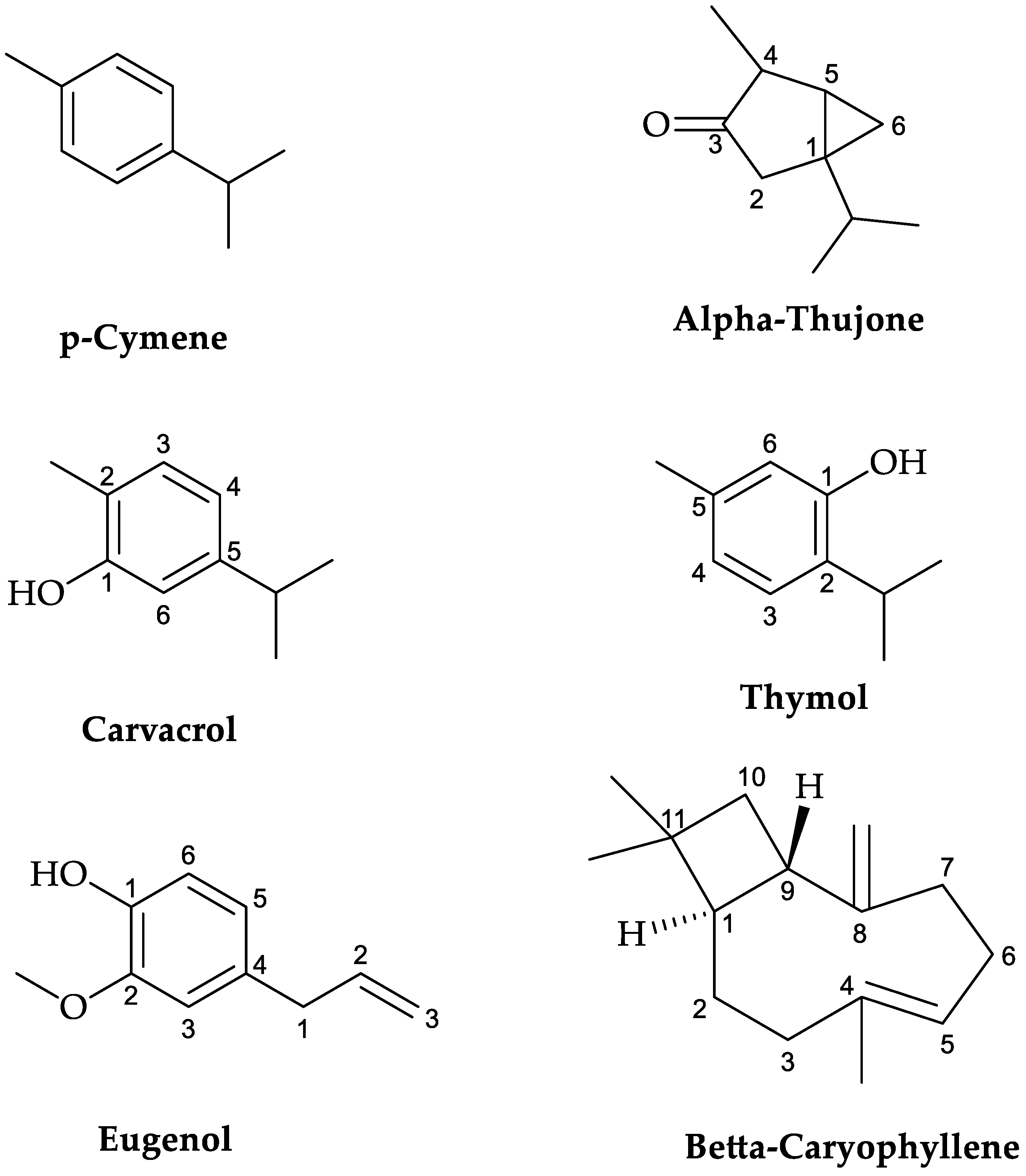 Plants 12 03376 g002