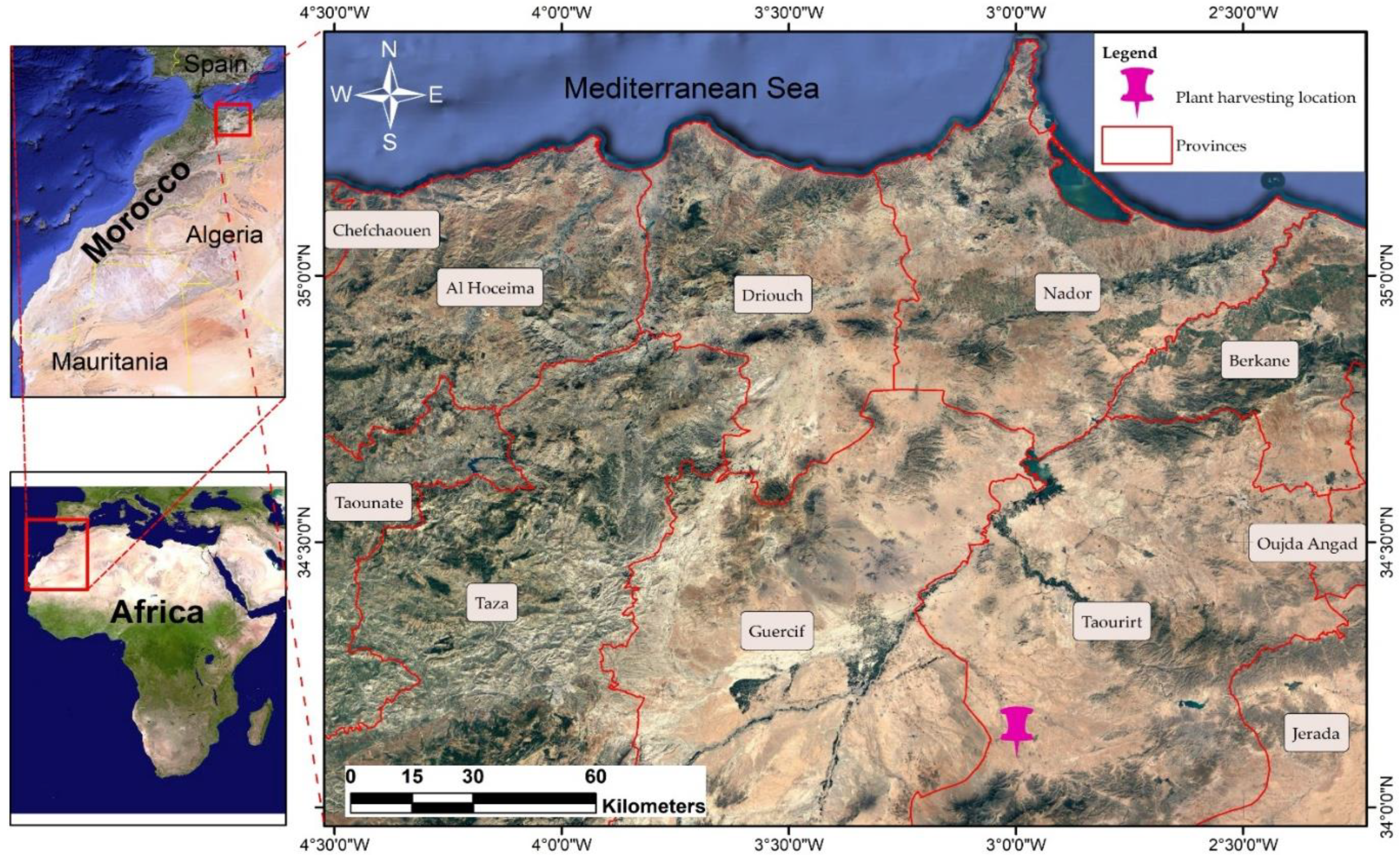 Plants 12 03376 g009