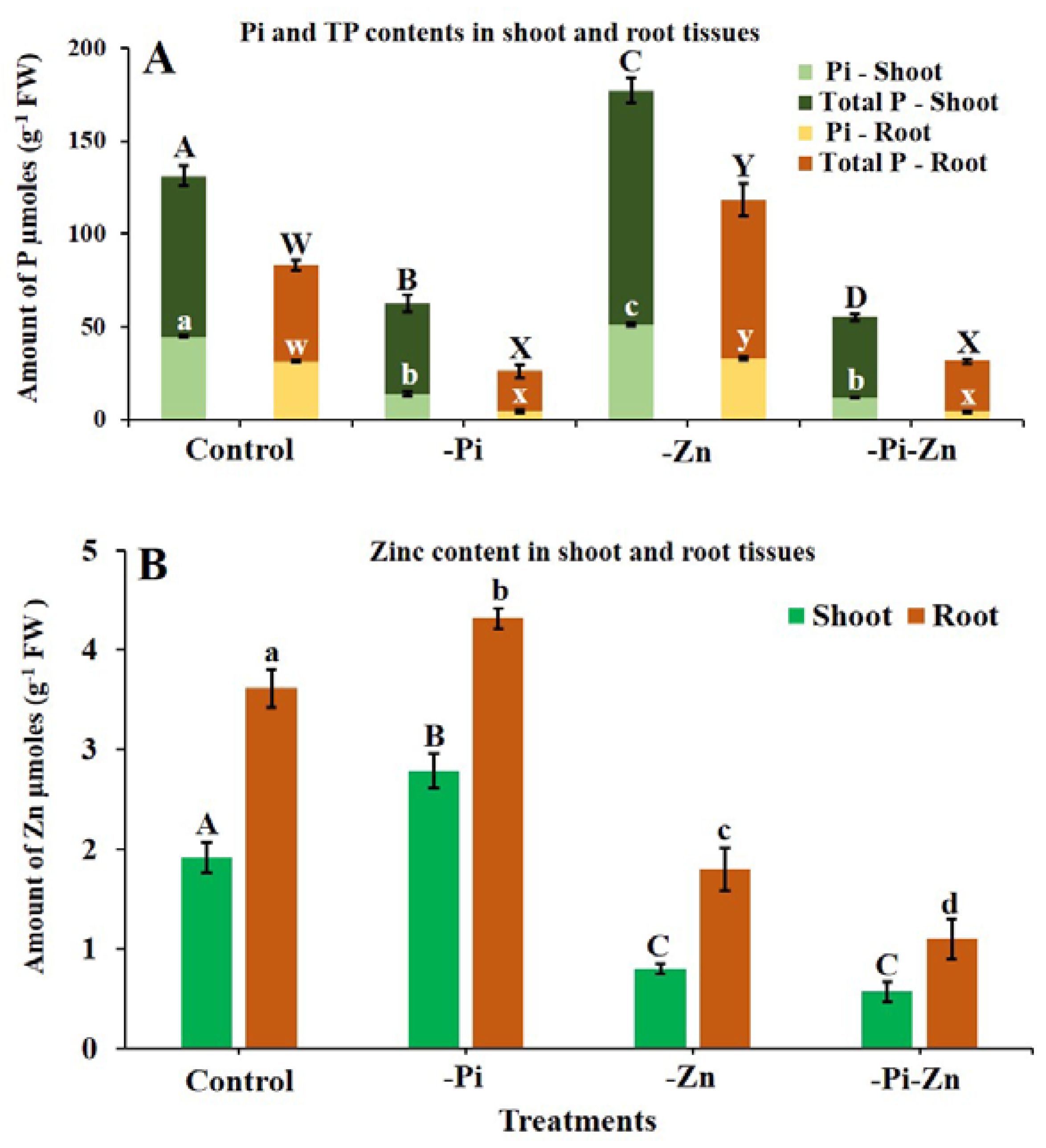 Plants 12 03378 g003