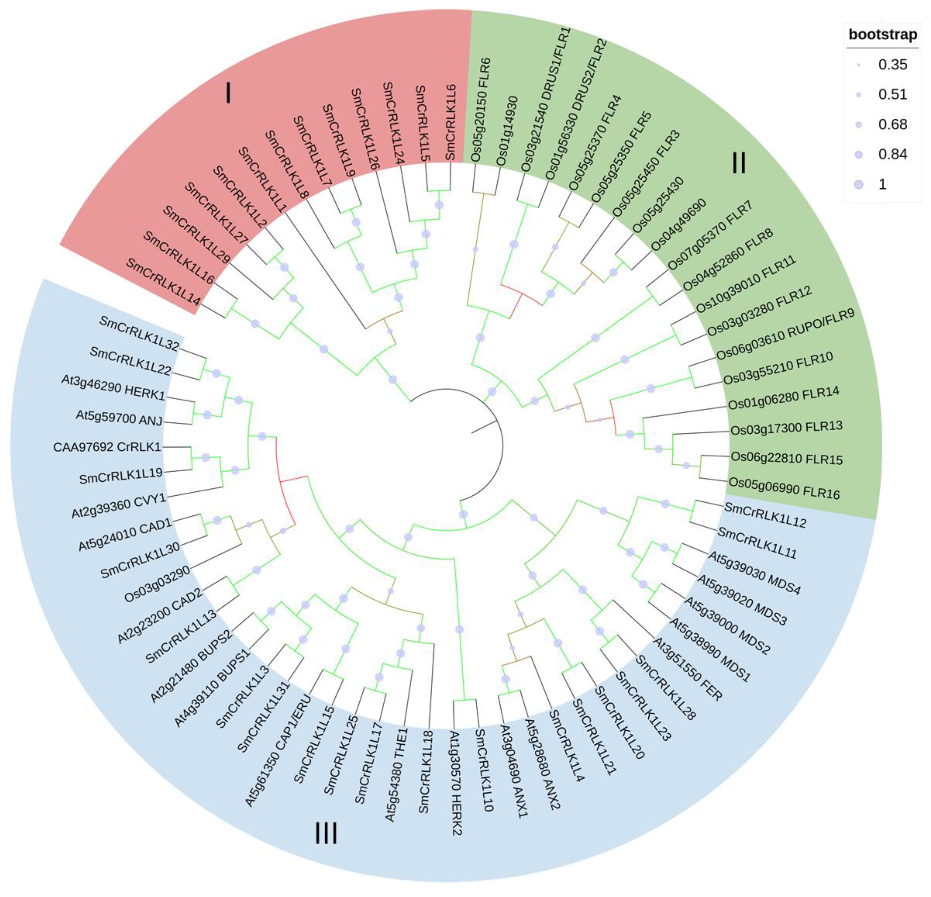 Plants 12 03379 g001