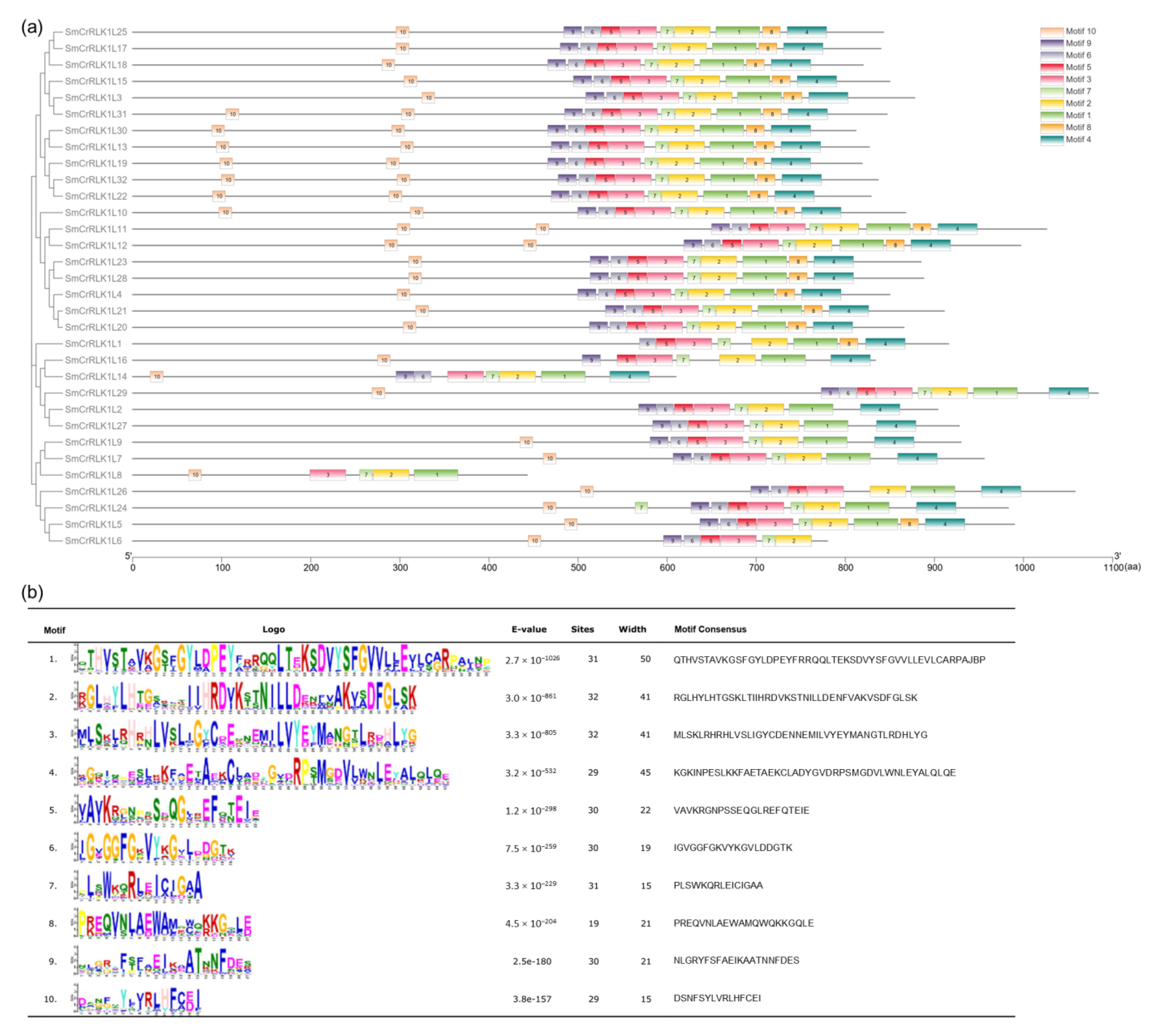 Plants 12 03379 g004