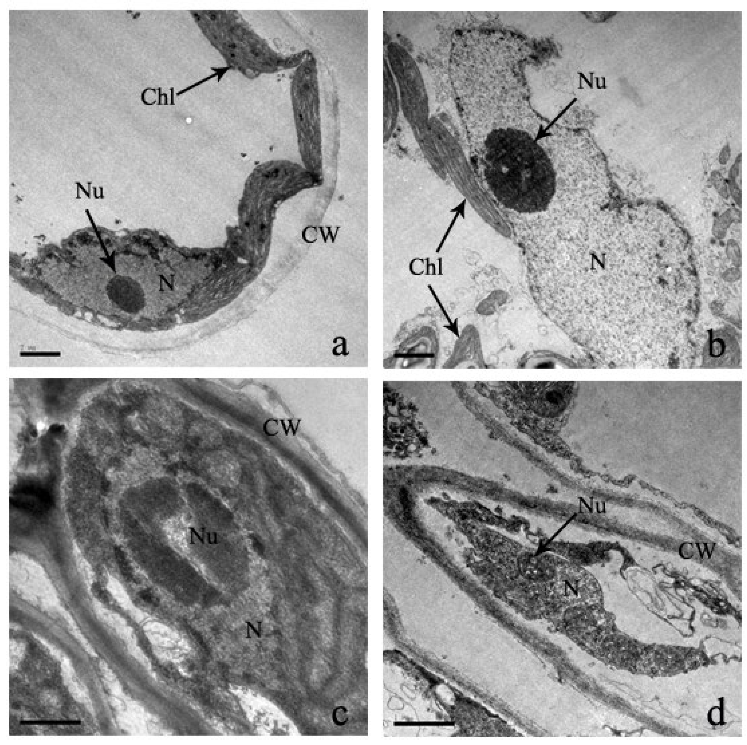 Plants 12 03381 g009