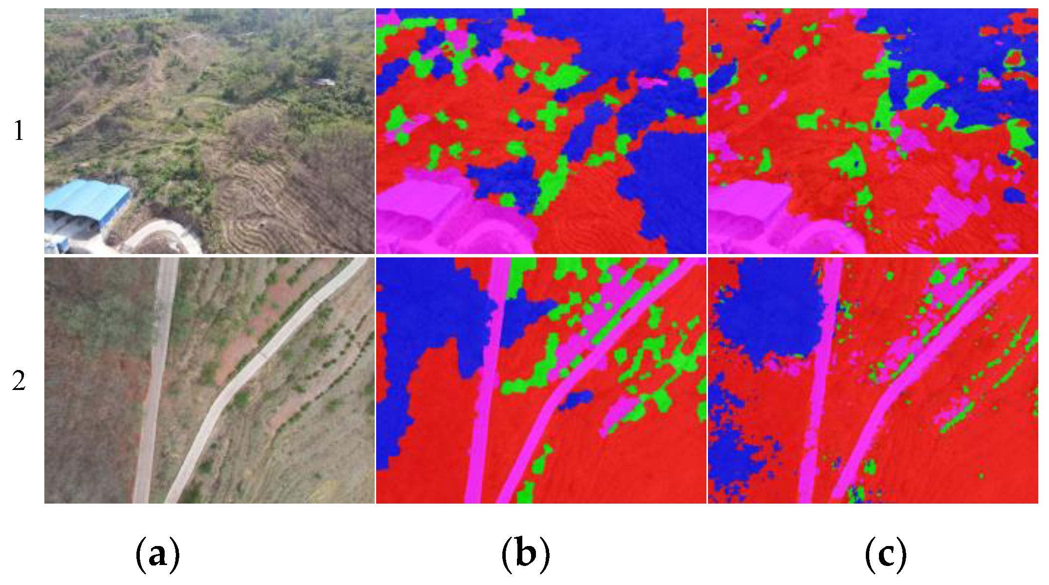 Plants 12 03383 g008
