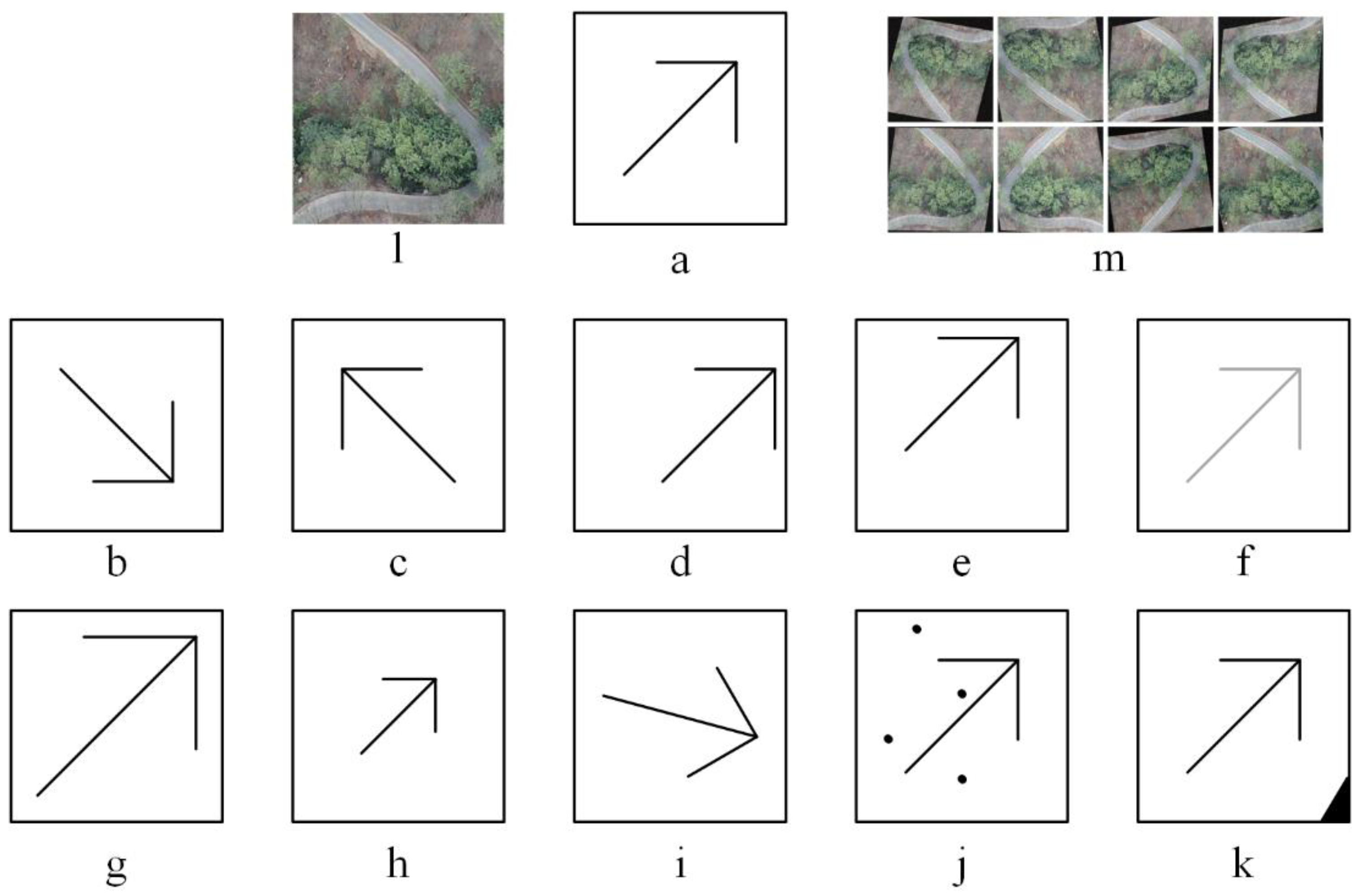 Plants 12 03383 g012