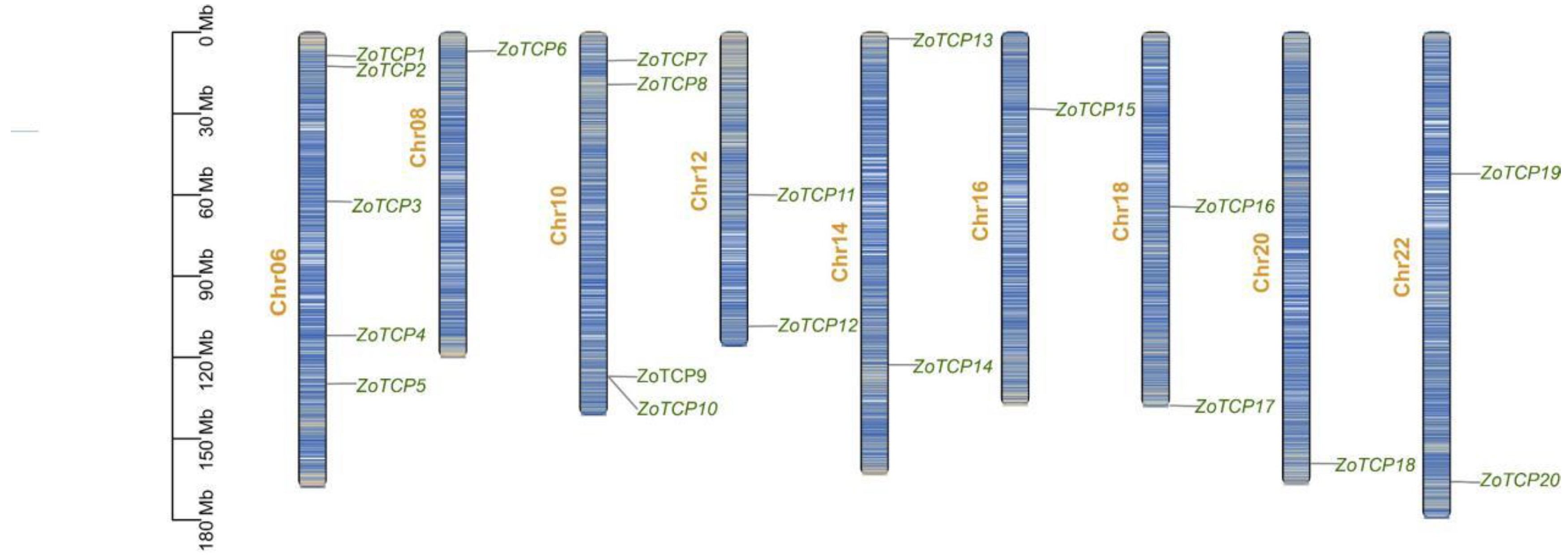 Plants 12 03389 g001 Plants 12 03389 g001