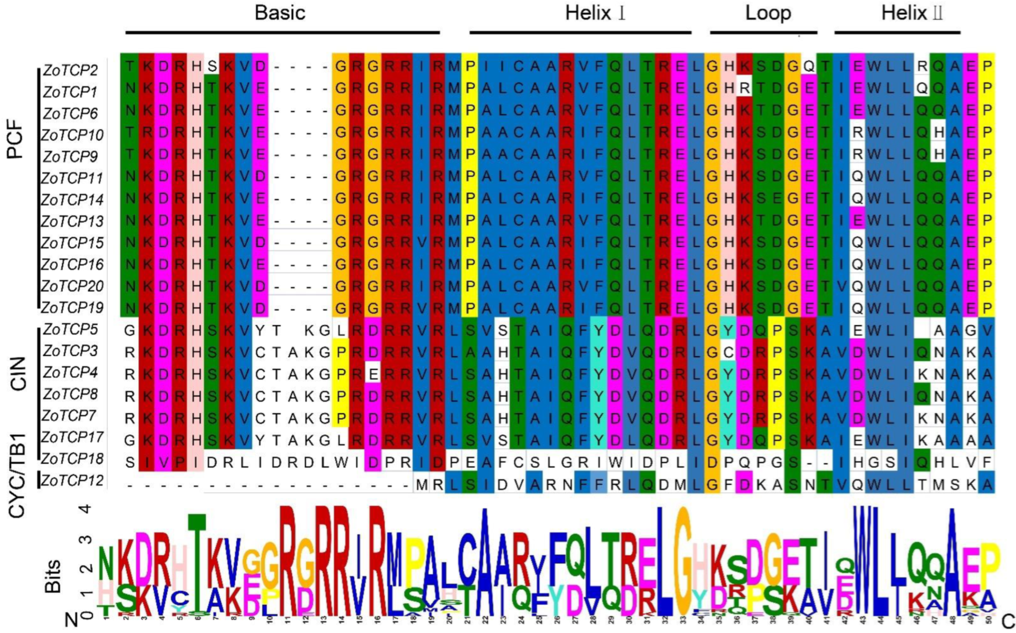 Plants 12 03389 g003 Plants 12 03389 g003