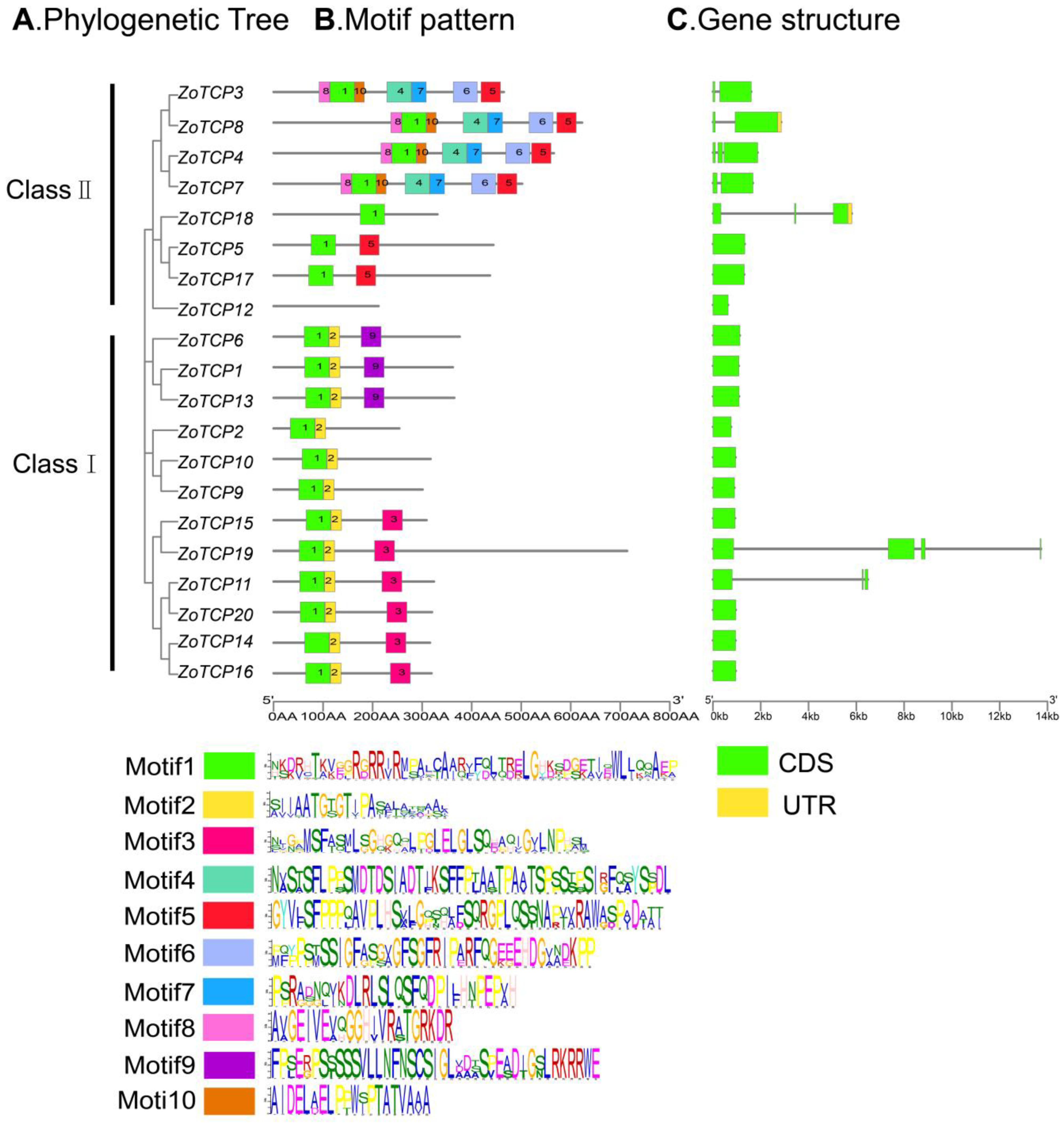 Plants 12 03389 g004 Plants 12 03389 g004