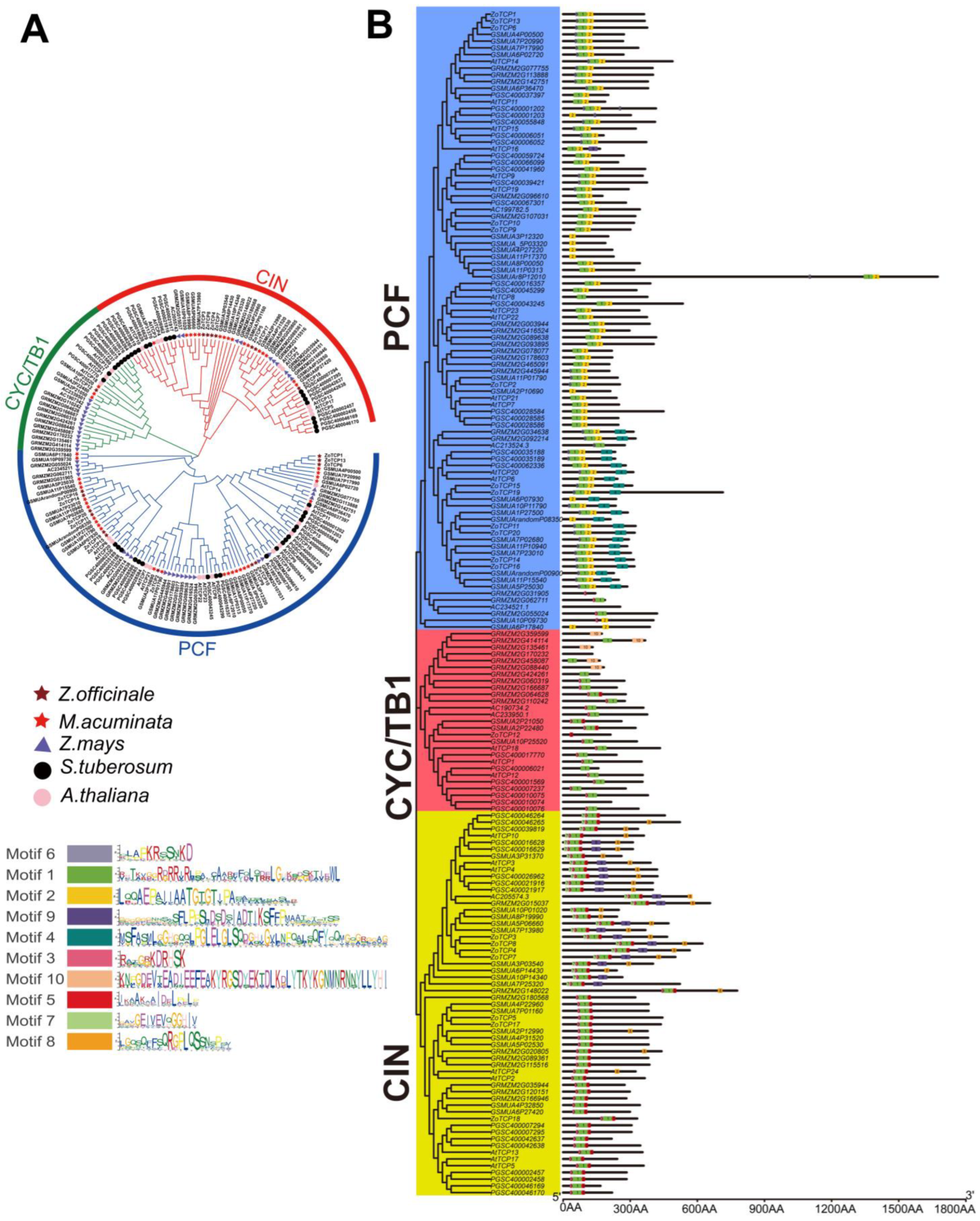 Plants 12 03389 g005 Plants 12 03389 g005